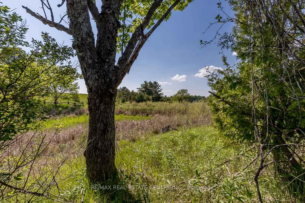 Photo 10 of 2140 Charleston Side Road, Caledon, Rural Caledon — HOMEH