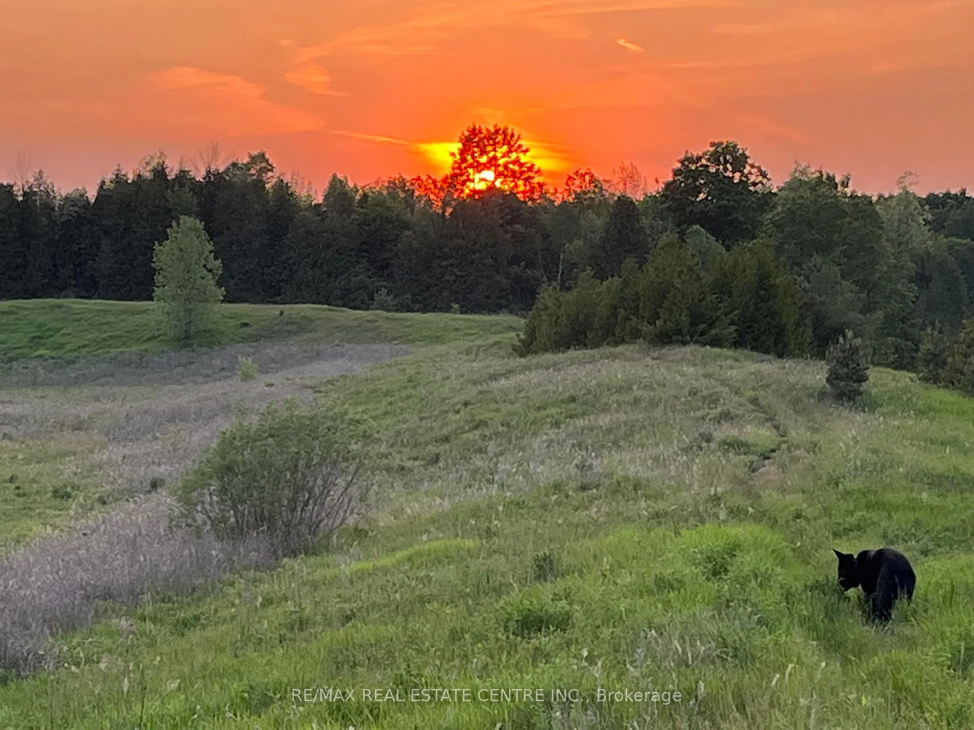 Photo 38 of 2140 Charleston Side Road, Caledon, Rural Caledon — HOMEH