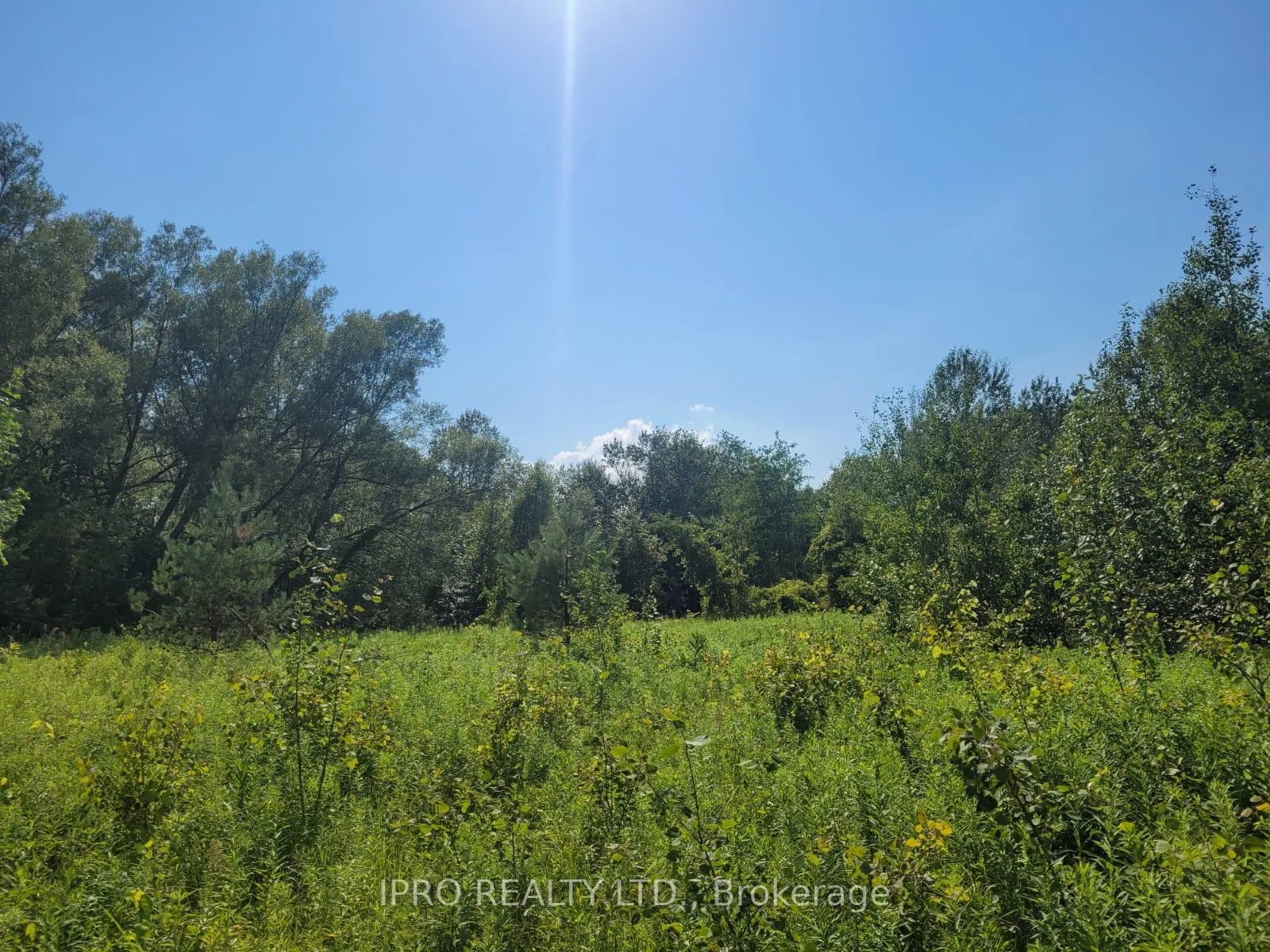 Photo 1 of 3350 Middle Road, Clarington, Bowmanville — HOMEH