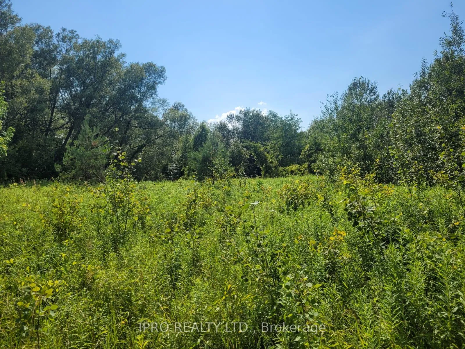 Photo 5 of 3350 Middle Road, Clarington, Bowmanville — HOMEH