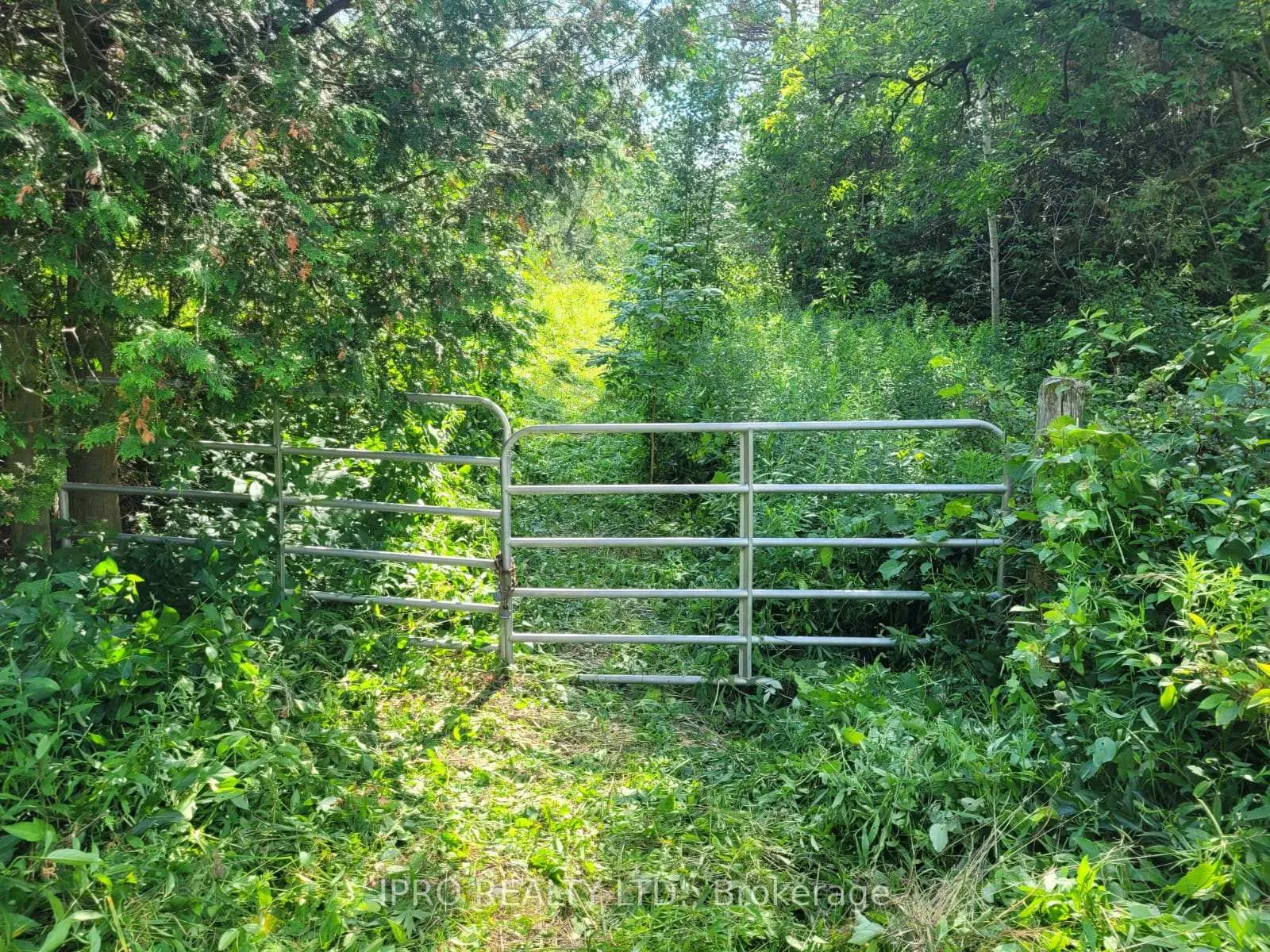 Photo 6 of 3350 Middle Road, Clarington, Bowmanville — HOMEH