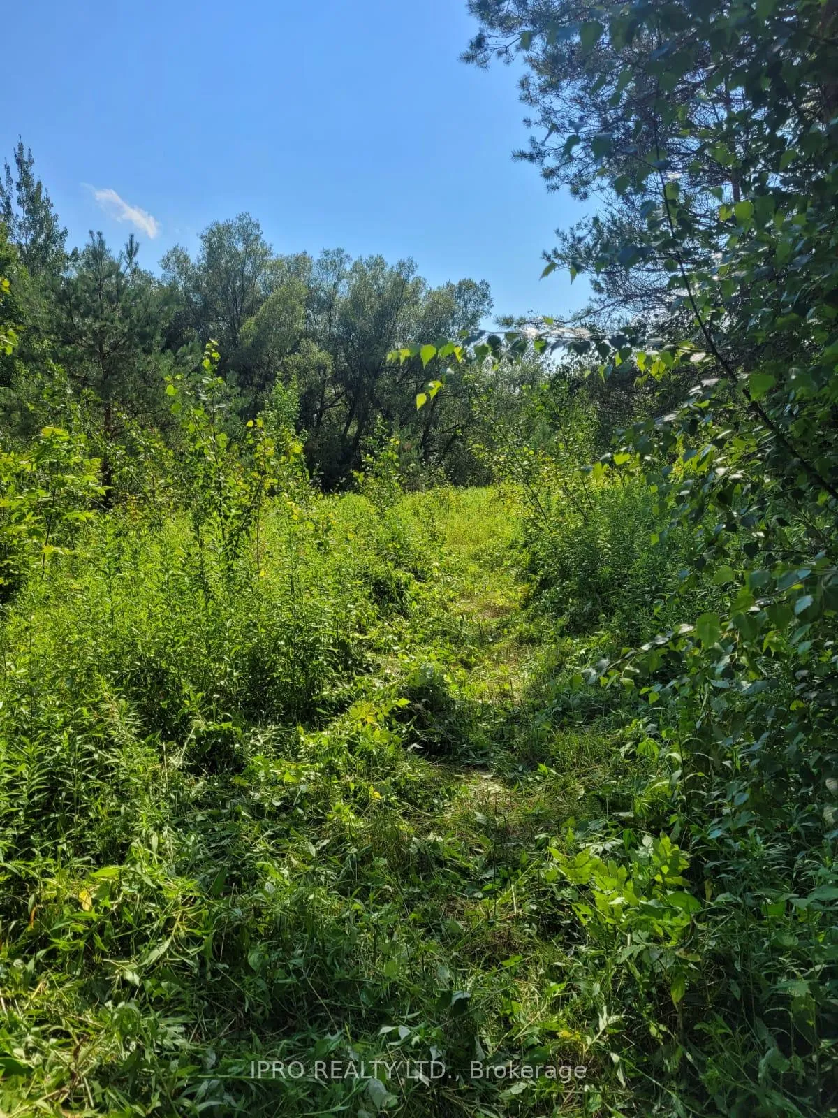 Photo 7 of 3350 Middle Road, Clarington, Bowmanville — HOMEH