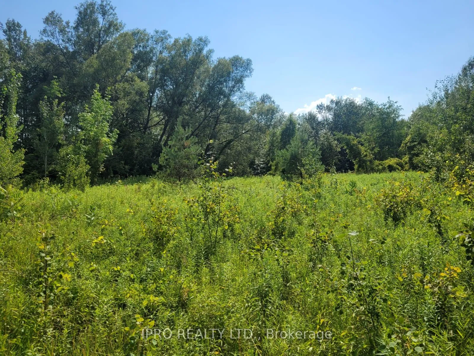 Photo 9 of 3350 Middle Road, Clarington, Bowmanville — HOMEH