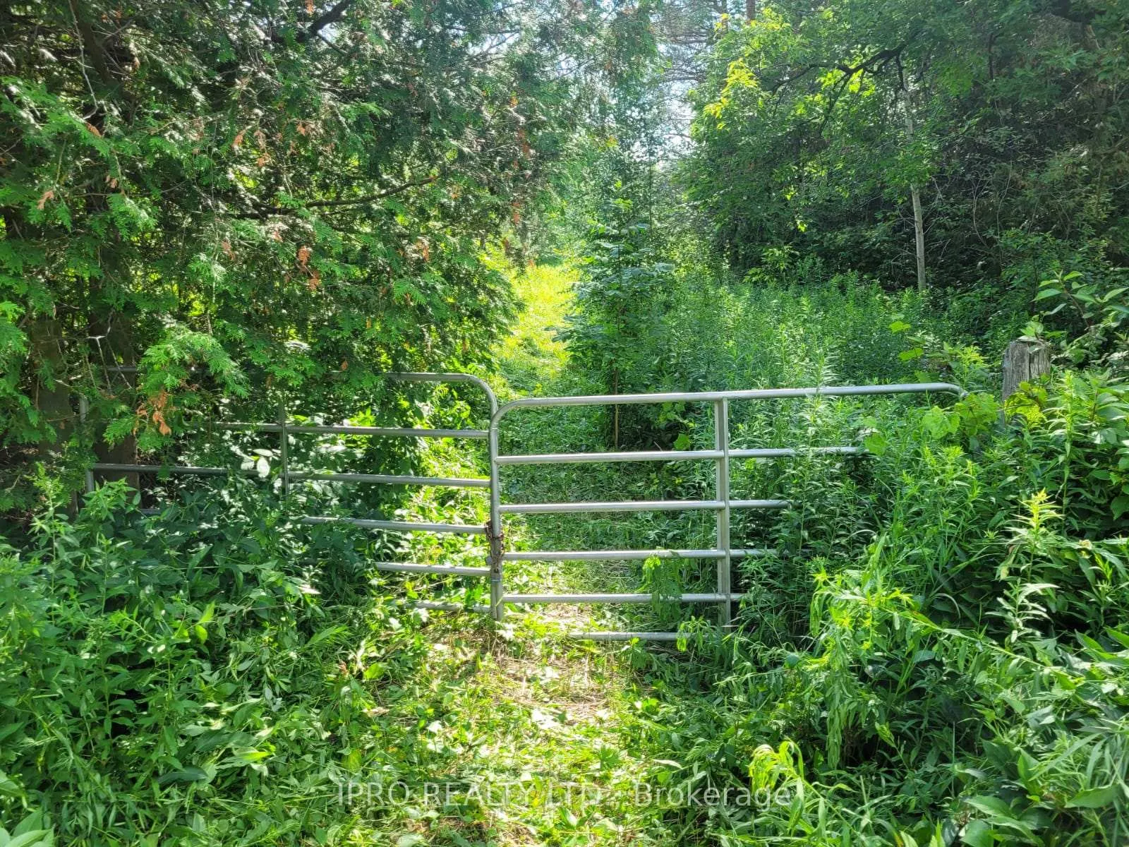 Photo 10 of 3350 Middle Road, Clarington, Bowmanville — HOMEH