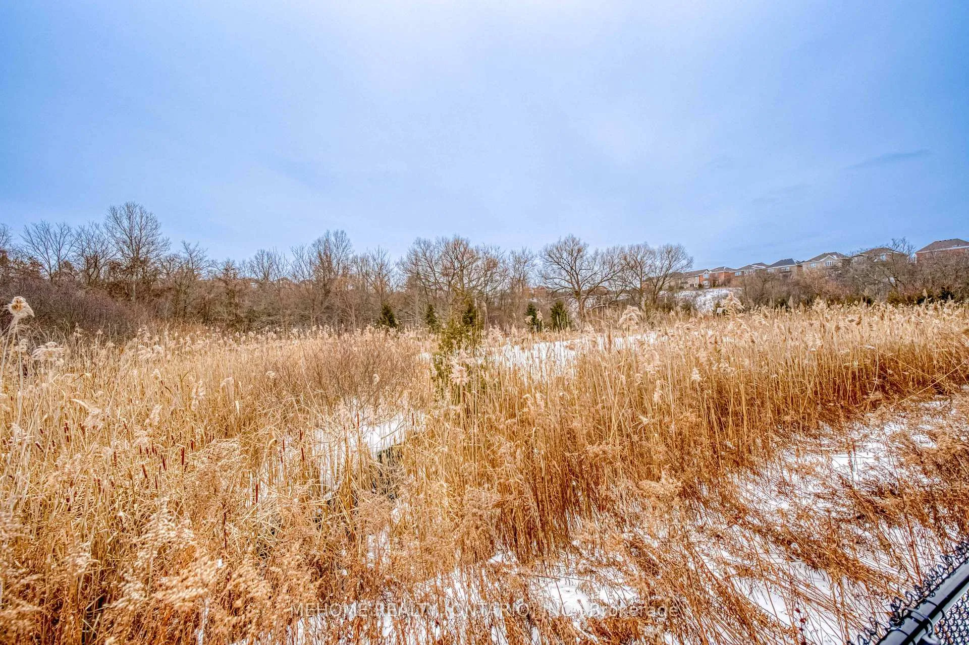 Photo 43 of 51 Bridgepointe Court, Aurora, Rural Aurora — HOMEH