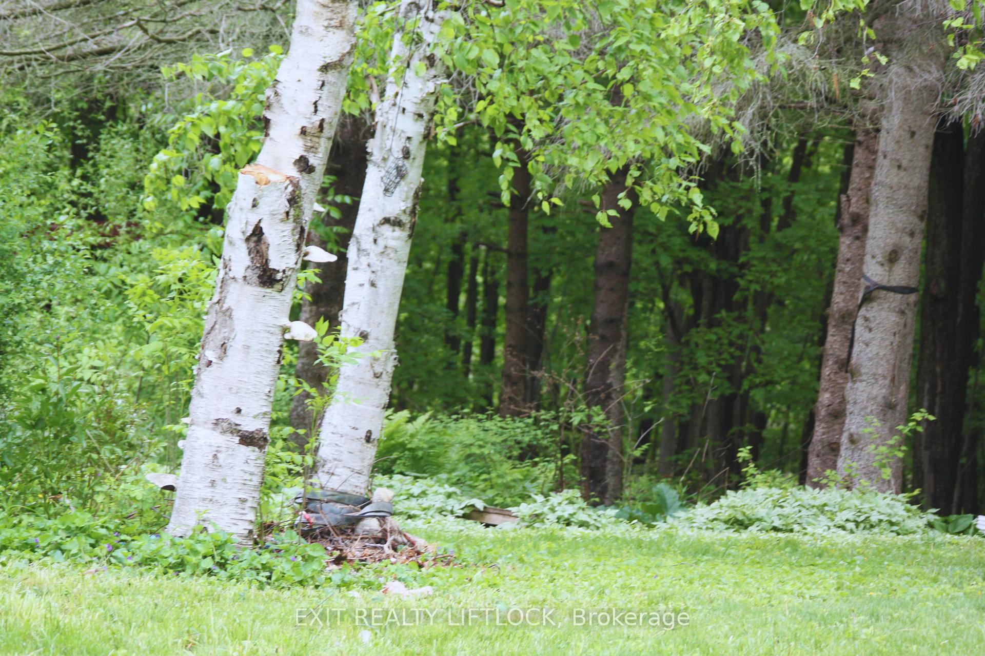 Photo 17 of 332 T-Way Drive, Cavan Monaghan, Cavan Twp — HOMEH