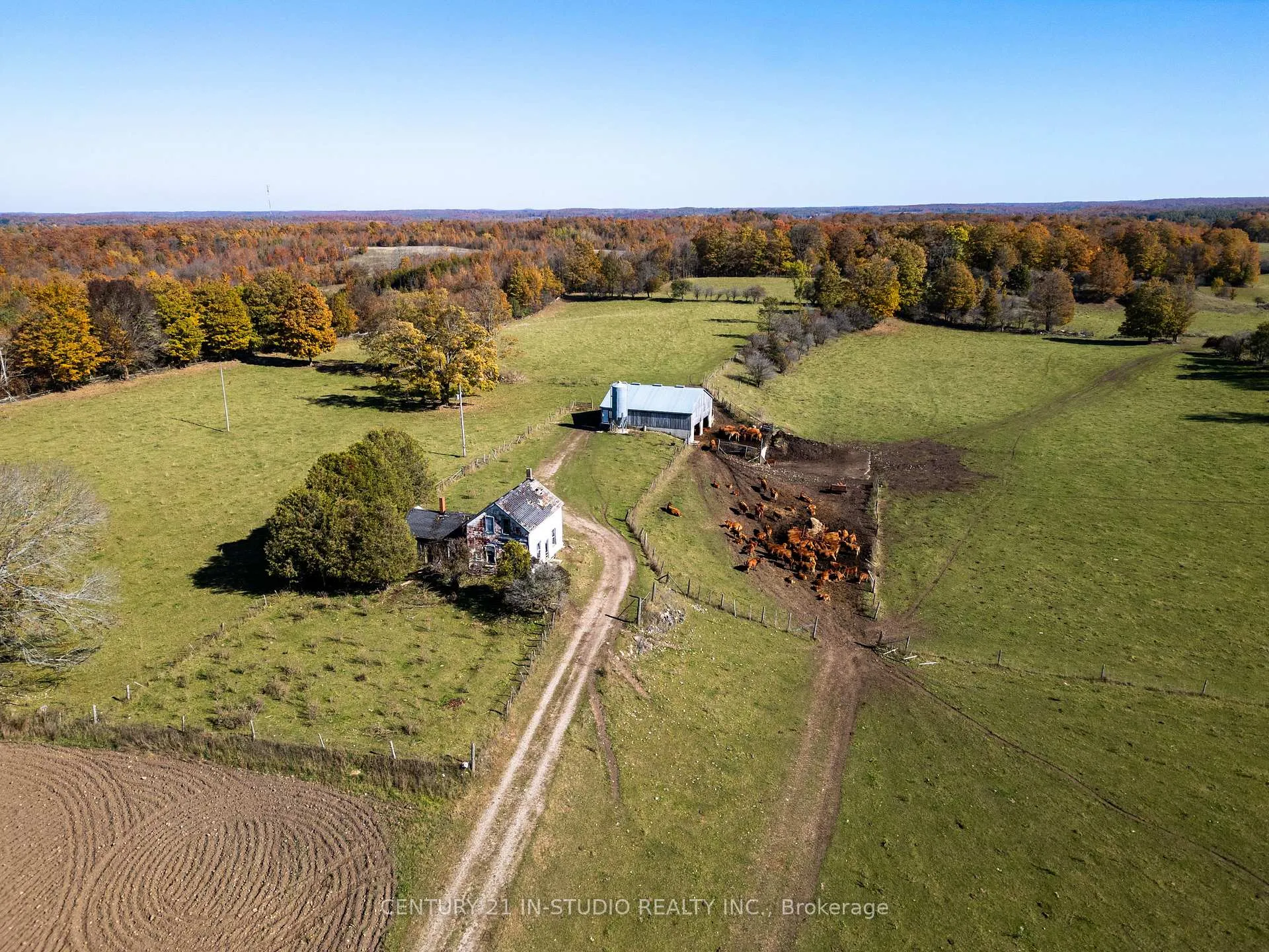 Photo 5 of 235609 Concession 2C, Chatsworth — HOMEH