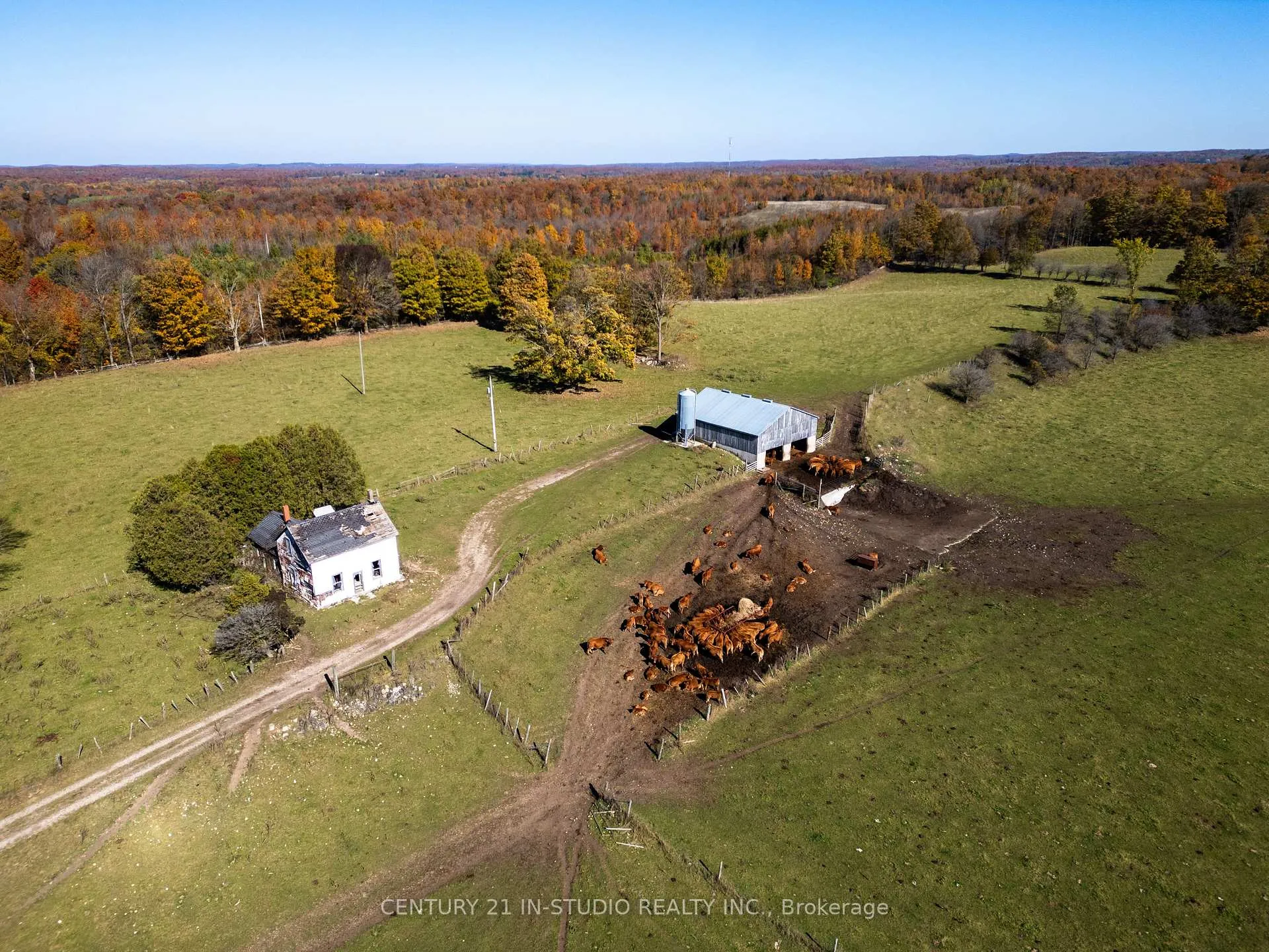 Photo 6 of 235609 Concession 2C, Chatsworth — HOMEH