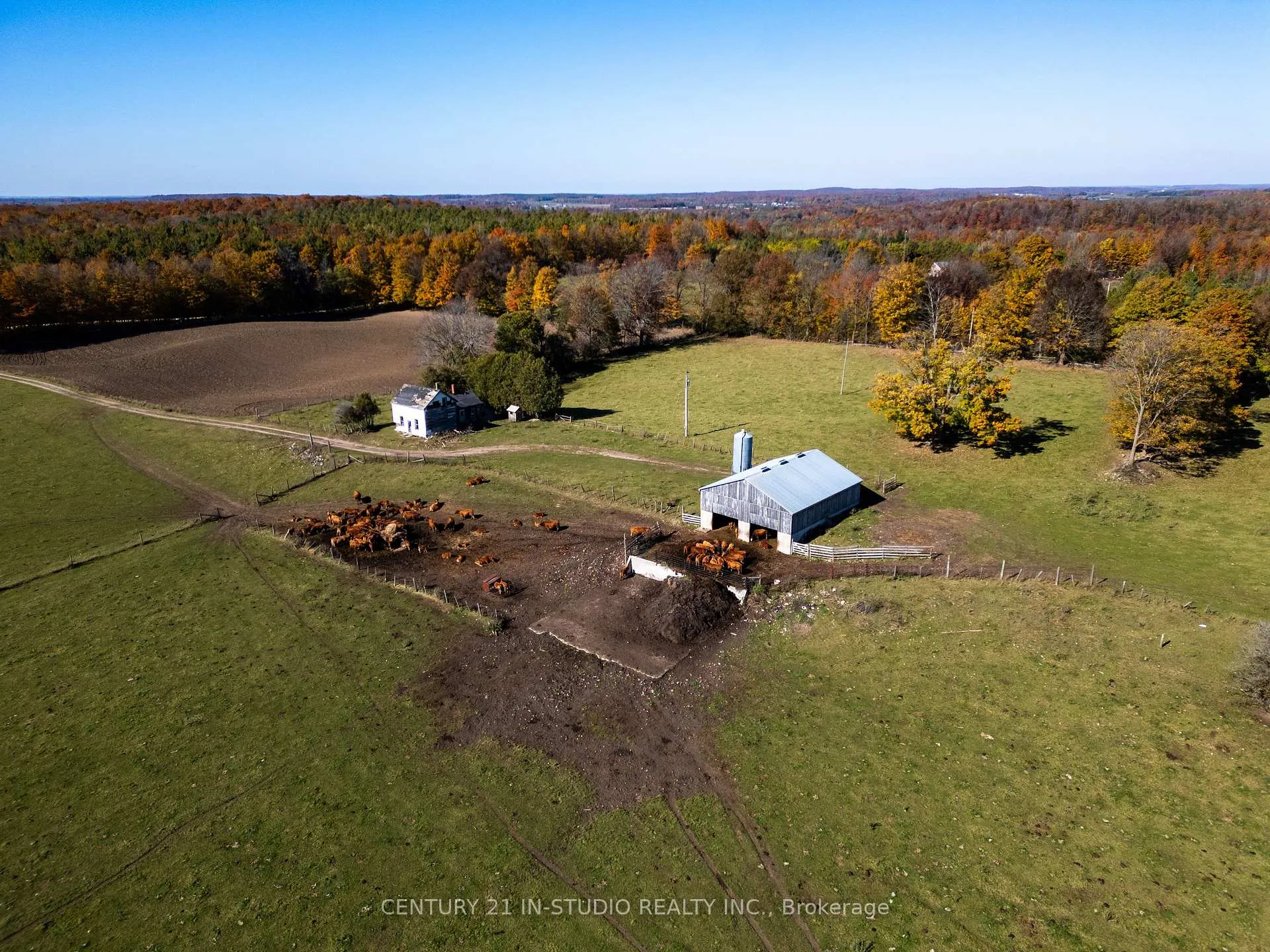 Photo 7 of 235609 Concession 2C, Chatsworth — HOMEH