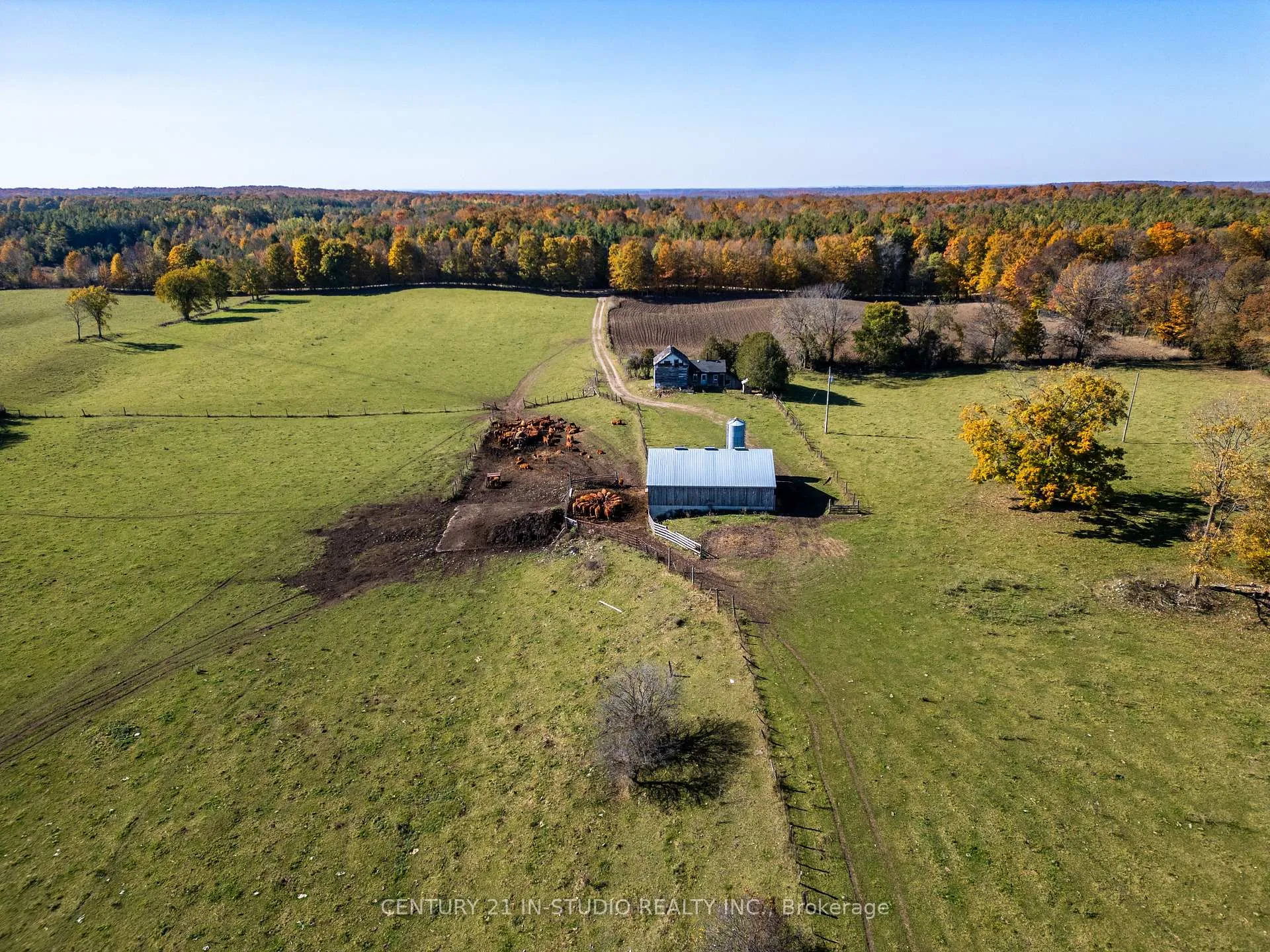 Photo 8 of 235609 Concession 2C, Chatsworth — HOMEH