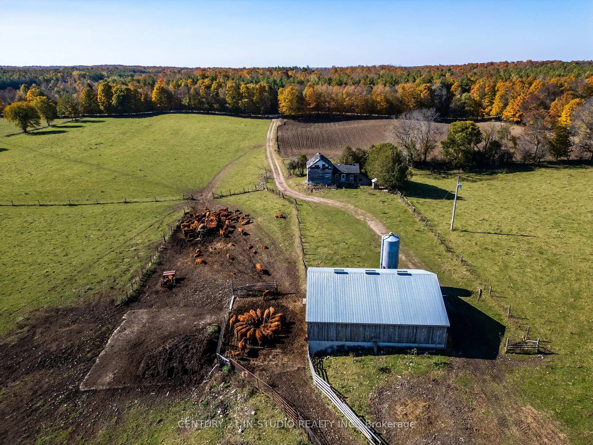 Photo 9 of 235609 Concession 2C, Chatsworth — HOMEH