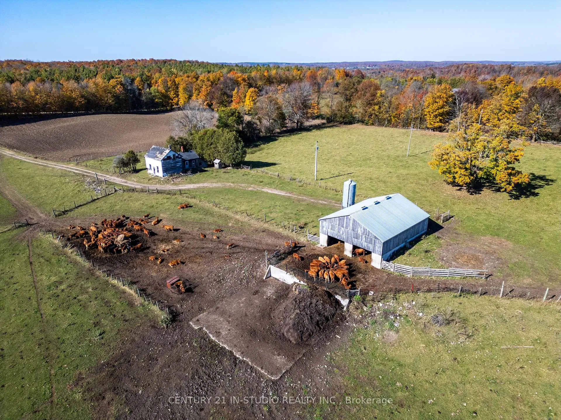Photo 10 of 235609 Concession 2C, Chatsworth — HOMEH