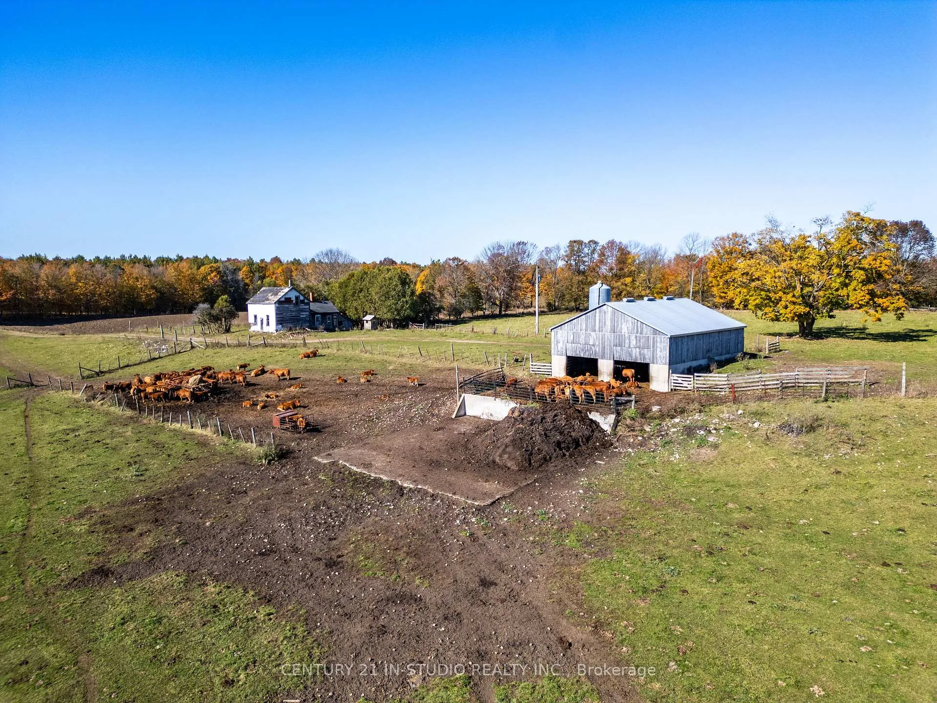Photo 11 of 235609 Concession 2C, Chatsworth — HOMEH