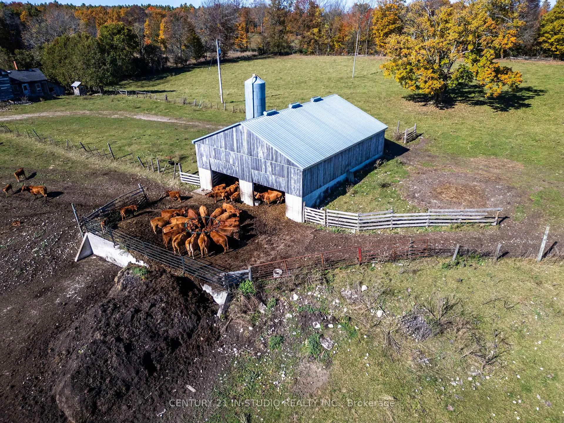 Photo 12 of 235609 Concession 2C, Chatsworth — HOMEH