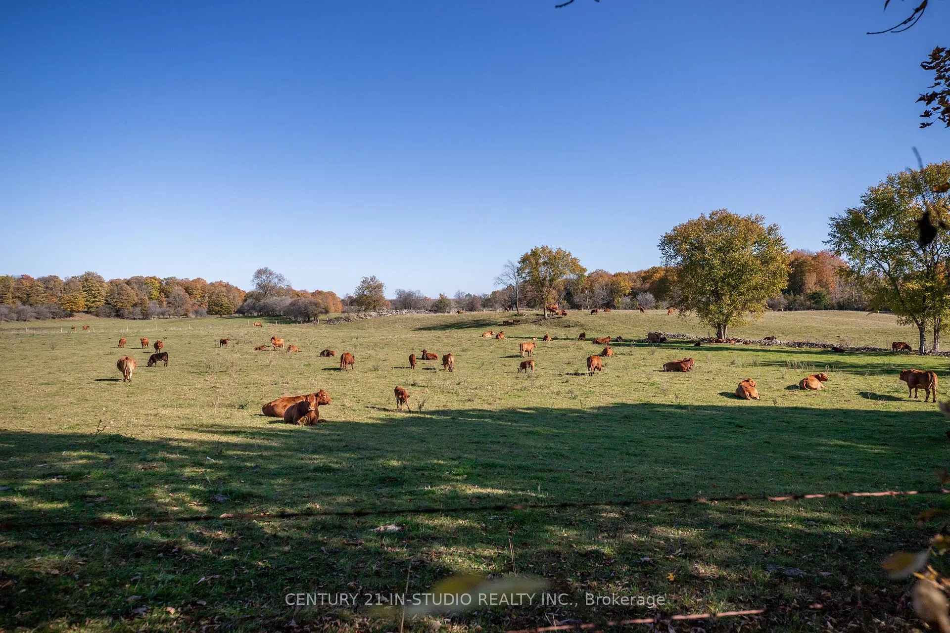 Photo 29 of 235609 Concession 2C, Chatsworth — HOMEH
