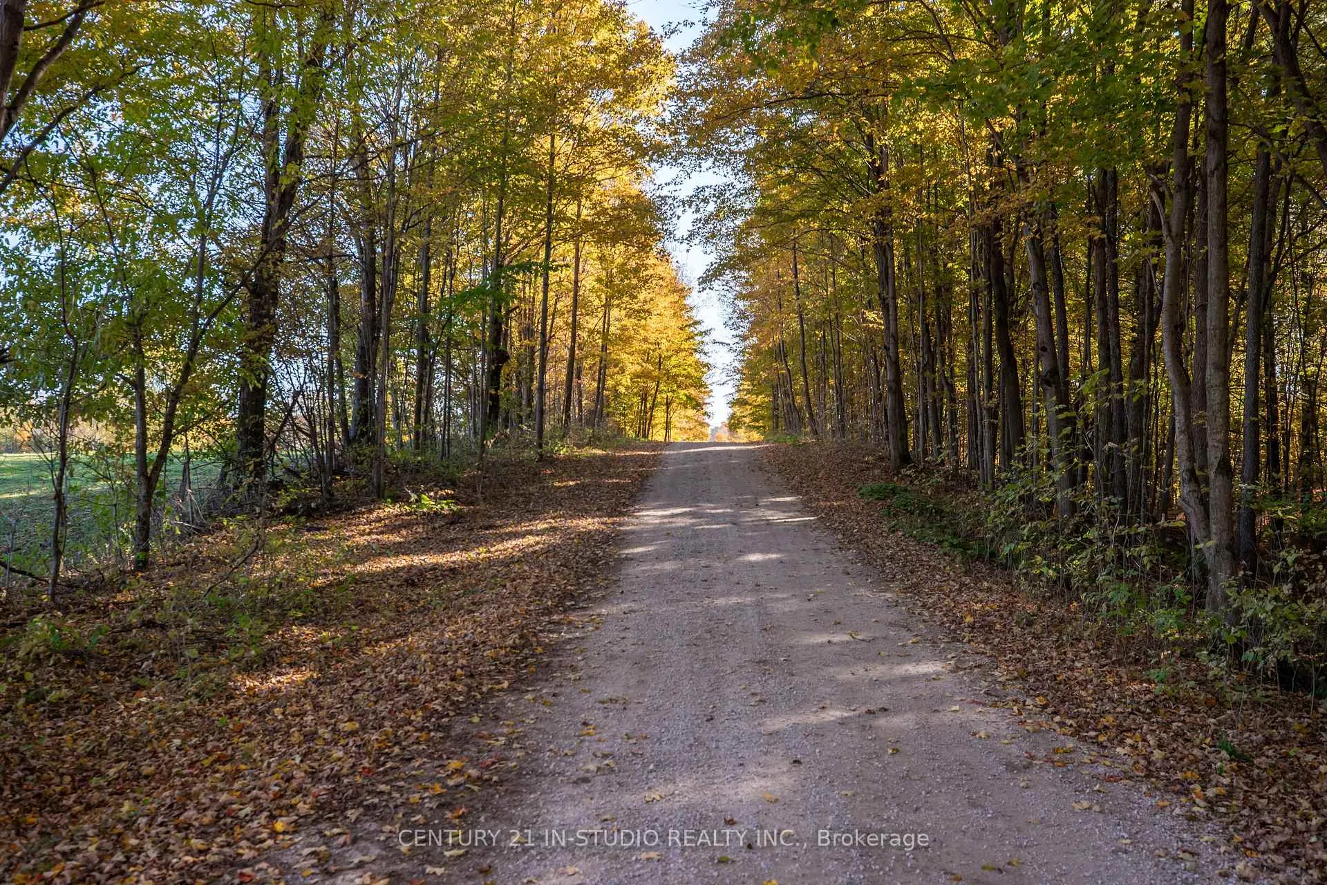 Photo 30 of 235609 Concession 2C, Chatsworth — HOMEH