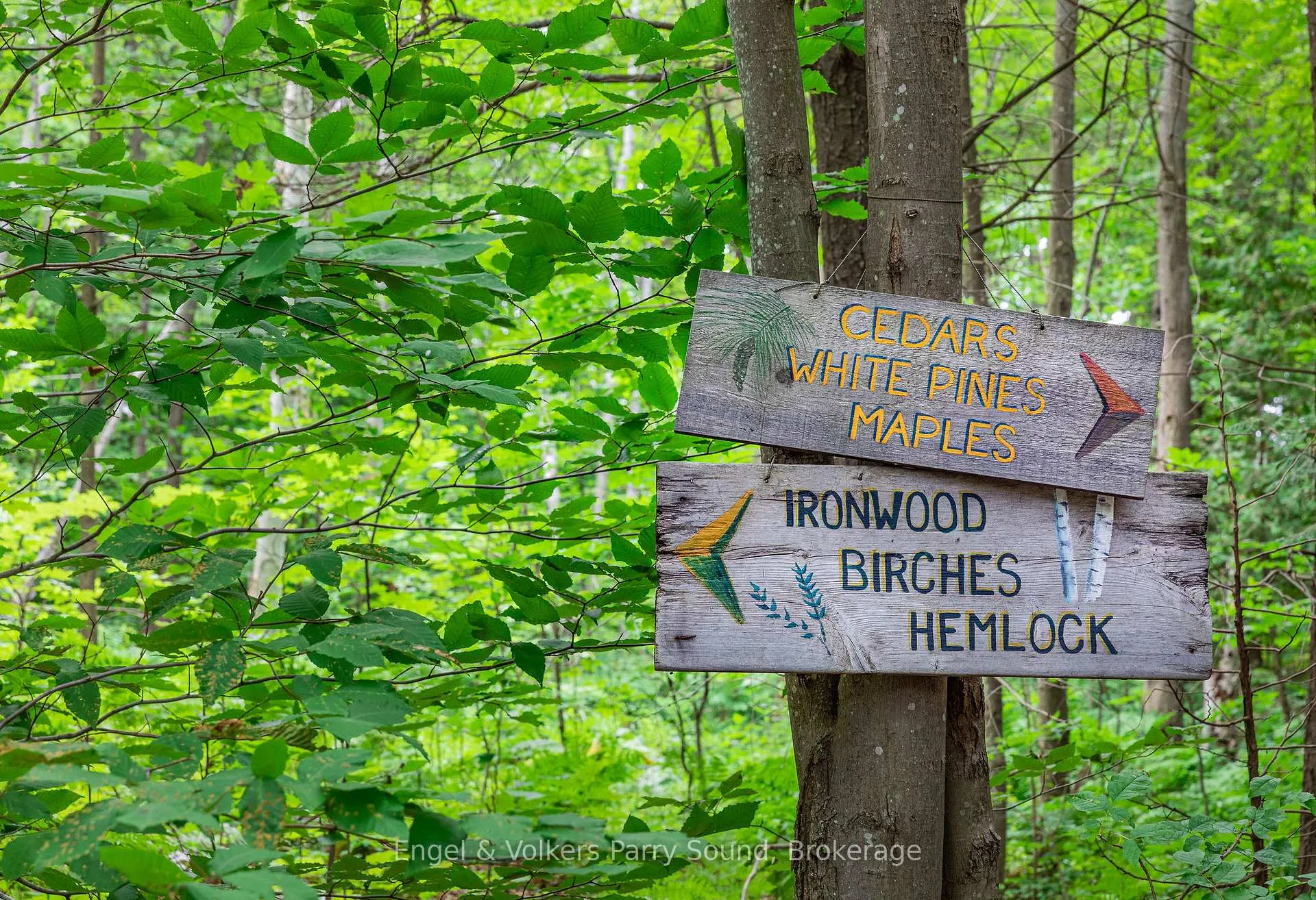 Photo 38 of 6 Harmony Lane, Parry Sound — HOMEH
