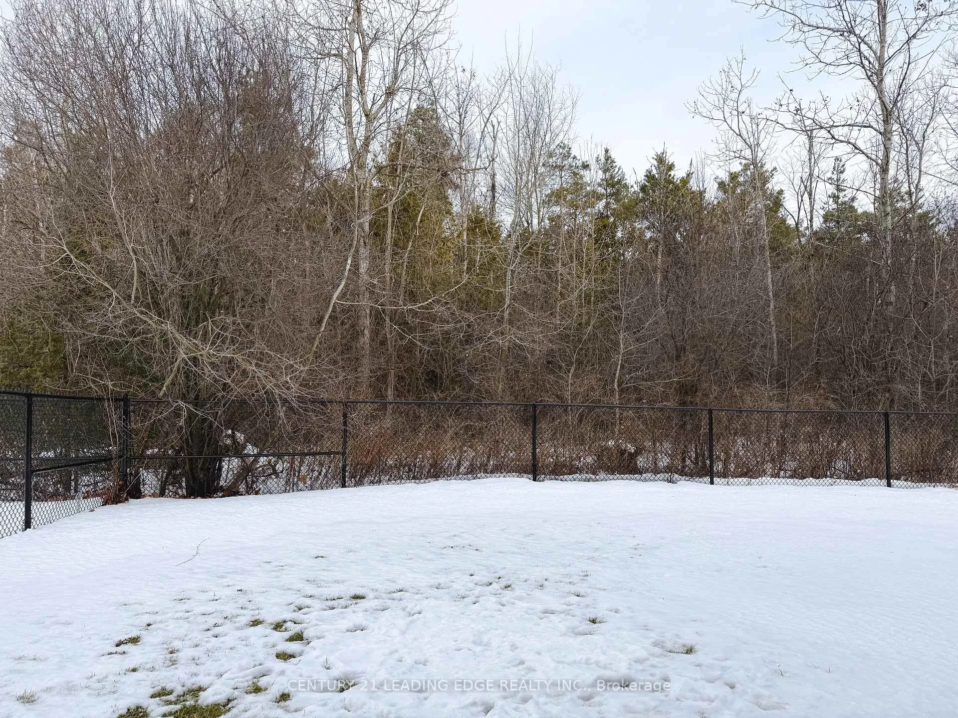 Photo 11 of Unit Bsmt, 39 Crombie Street, Clarington, Bowmanville — HOMEH
