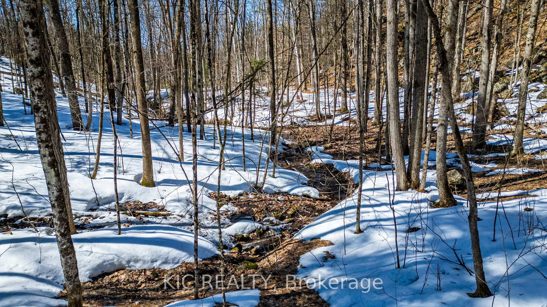 Photo 16 of Hinchinbrooke RD N, Frontenac, Frontenac South — HOMEH