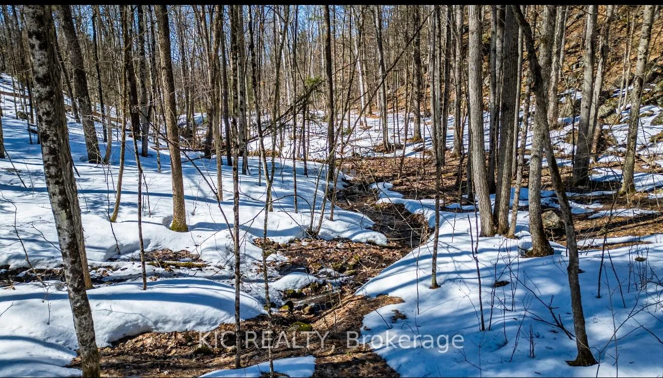 Photo 23 of Hinchinbrooke RD N, Frontenac, Frontenac South — HOMEH