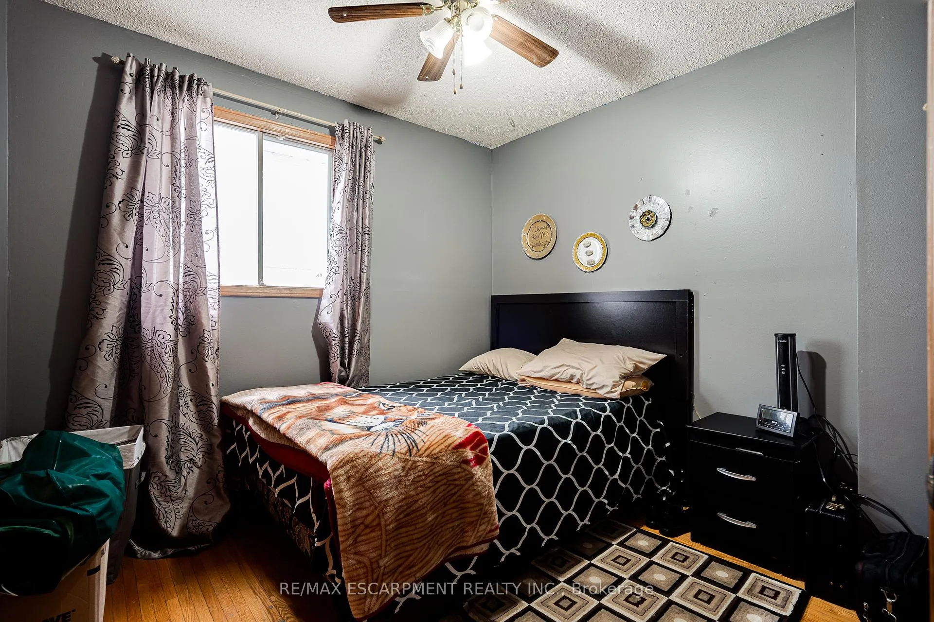 Photo 12 of 188 Clifton Downs Road, Hamilton, Gilbert — HOMEH