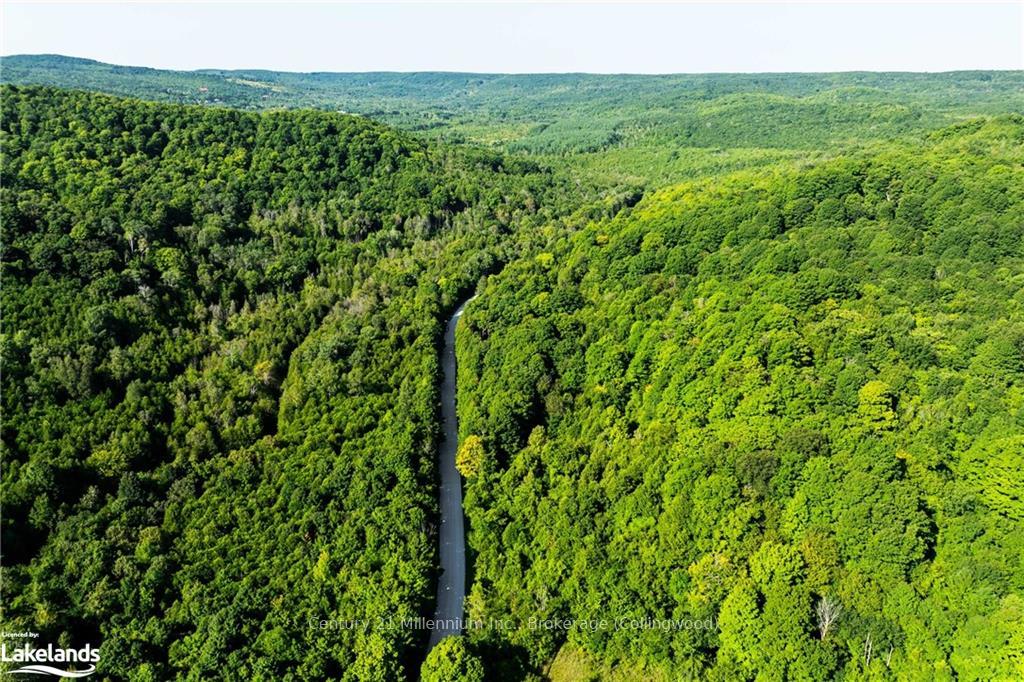 Photo 5 of 3 Pretty River Road, Blue Mountains — HOMEH
