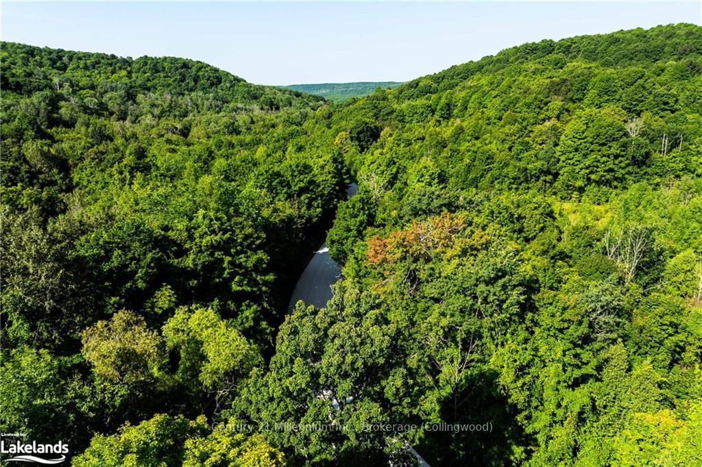 Photo 6 of 3 Pretty River Road, Blue Mountains — HOMEH