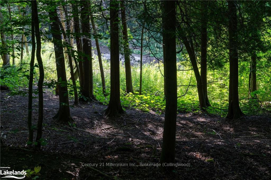 Photo 18 of 3 Pretty River Road, Blue Mountains — HOMEH
