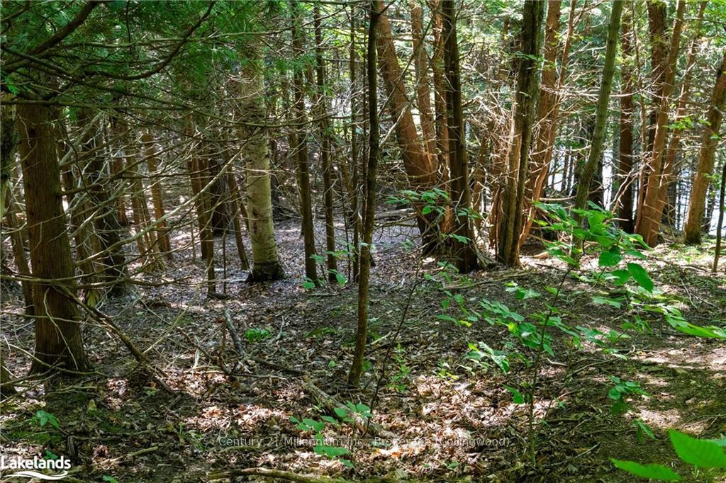 Photo 23 of 3 Pretty River Road, Blue Mountains — HOMEH