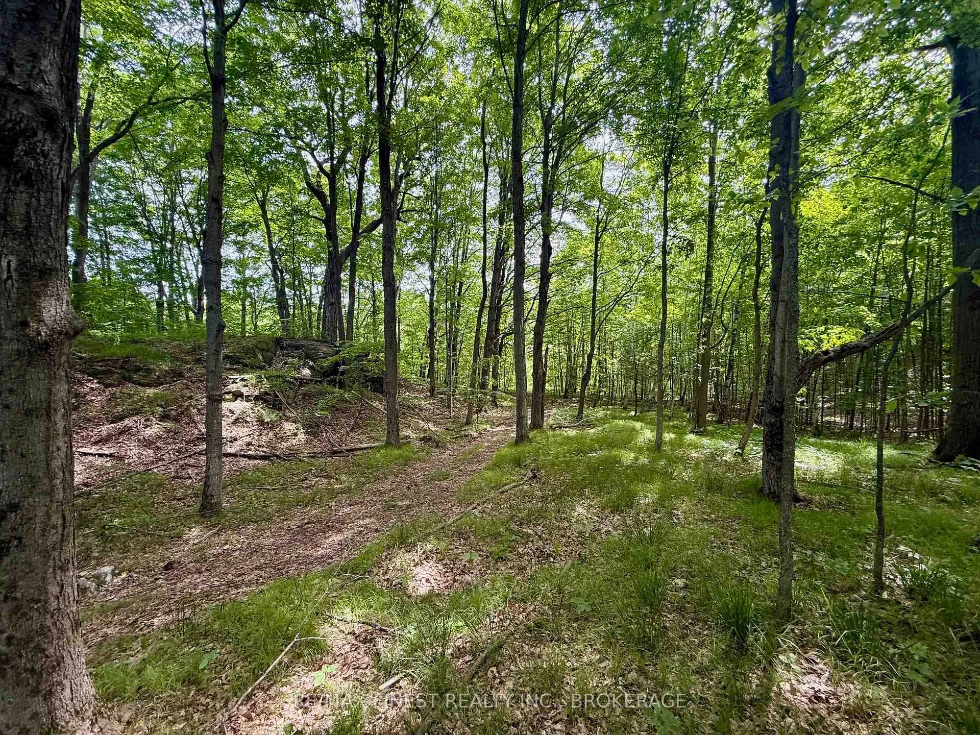 Photo 39 of 1128 Hill Road, Frontenac, Frontenac Centre — HOMEH