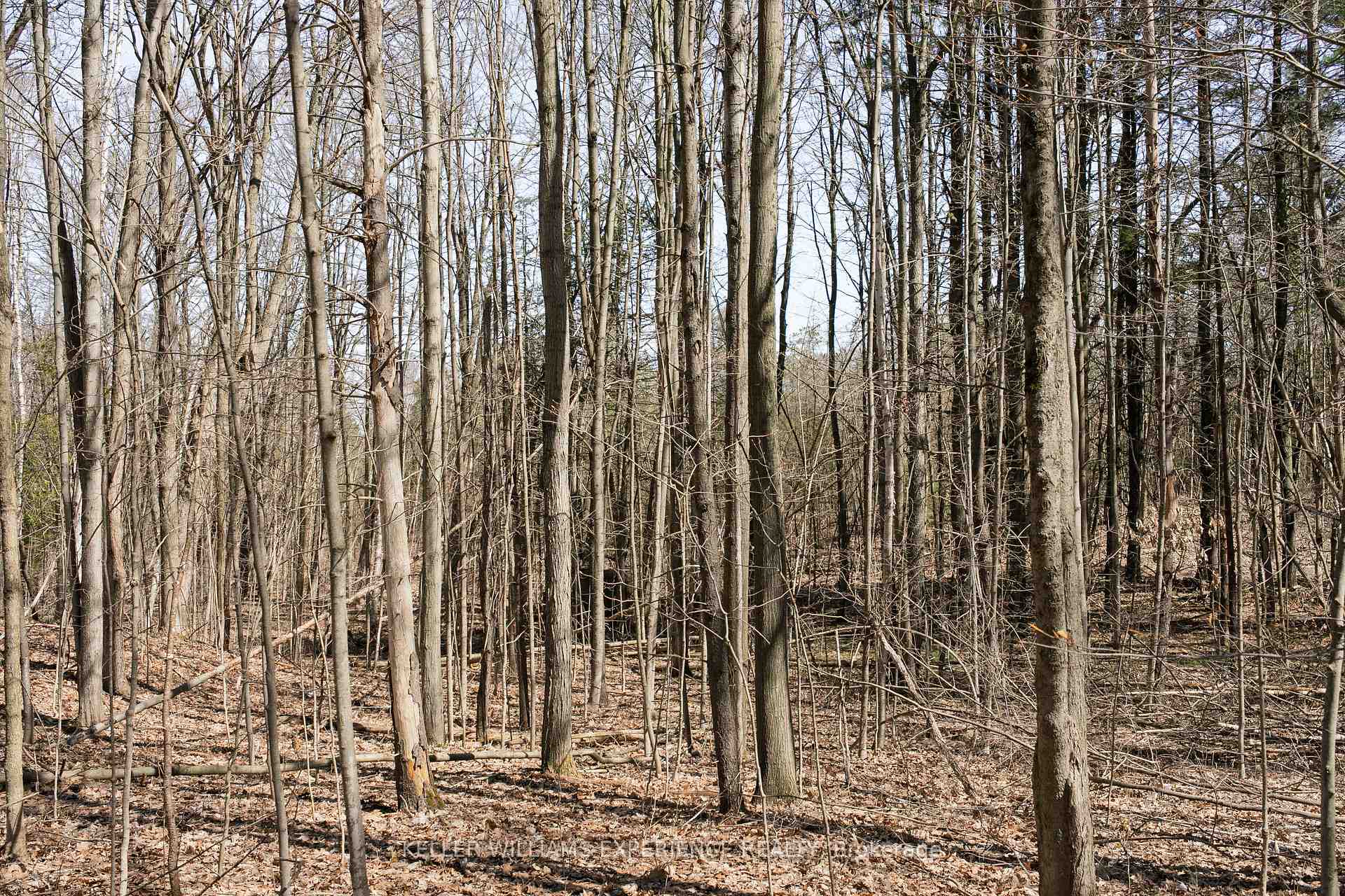 Photo 4 of 8294 County Rd 27, Essa, Rural Essa — HOMEH
