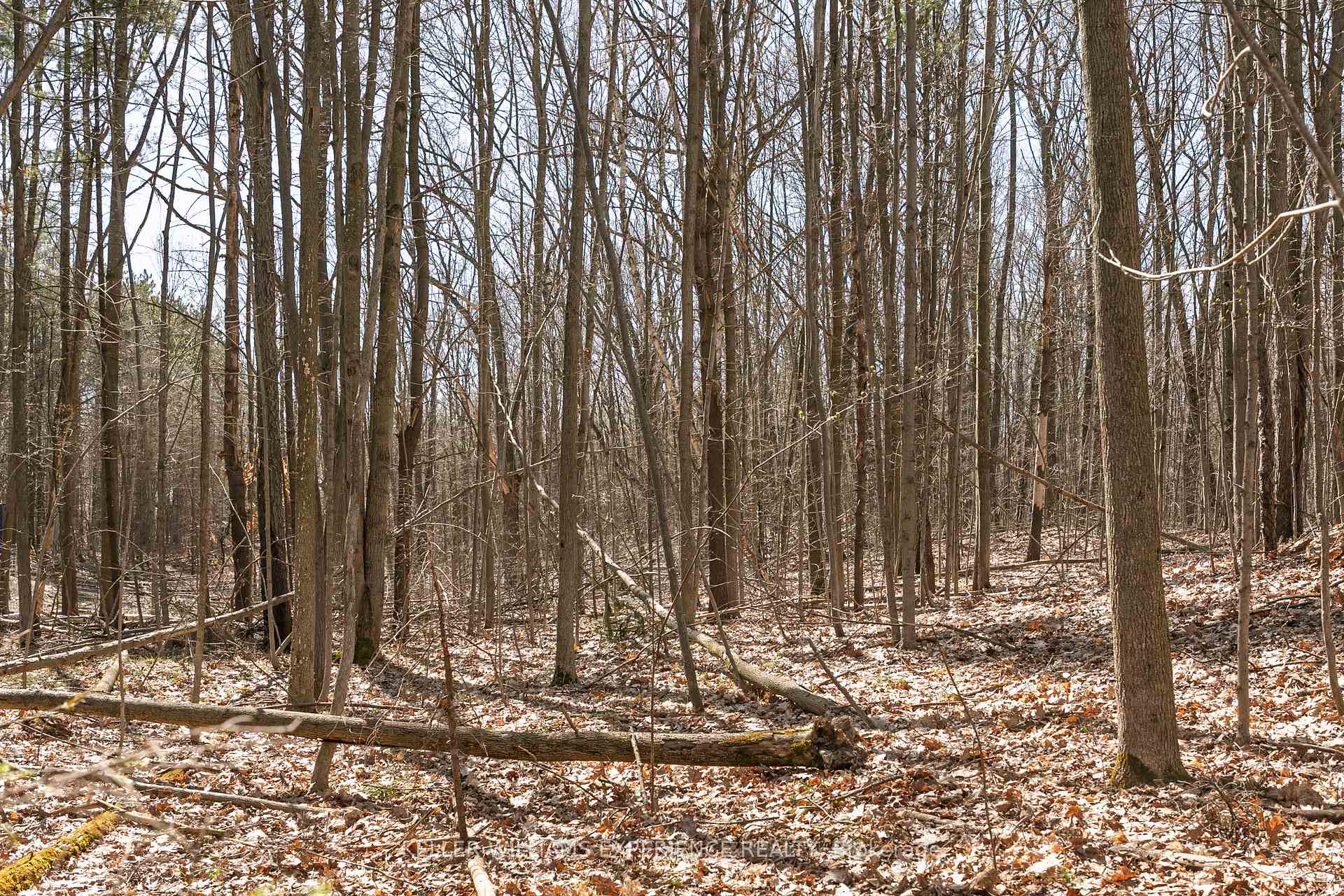 Photo 7 of 8294 County Rd 27, Essa, Rural Essa — HOMEH