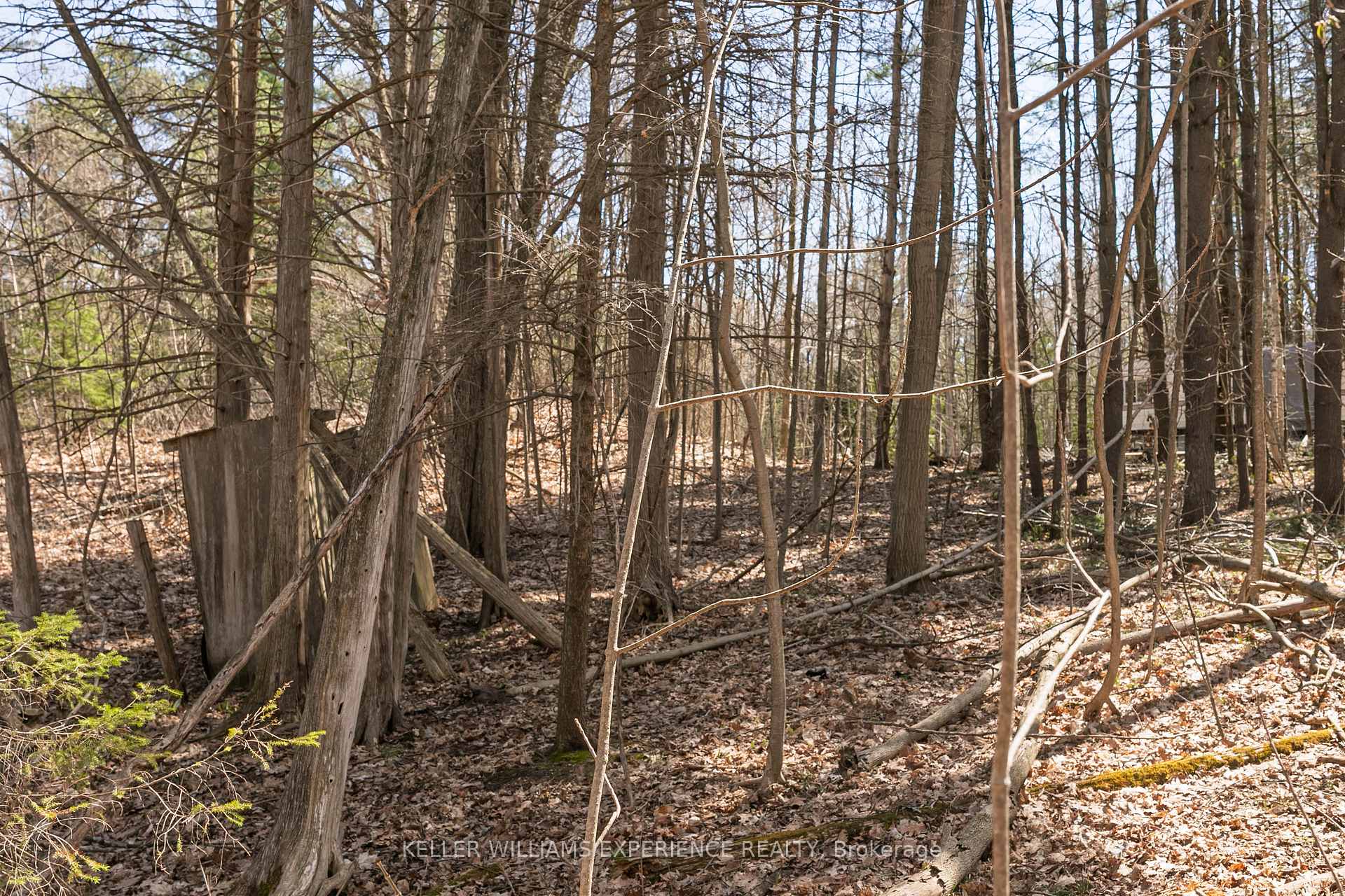 Photo 8 of 8294 County Rd 27, Essa, Rural Essa — HOMEH
