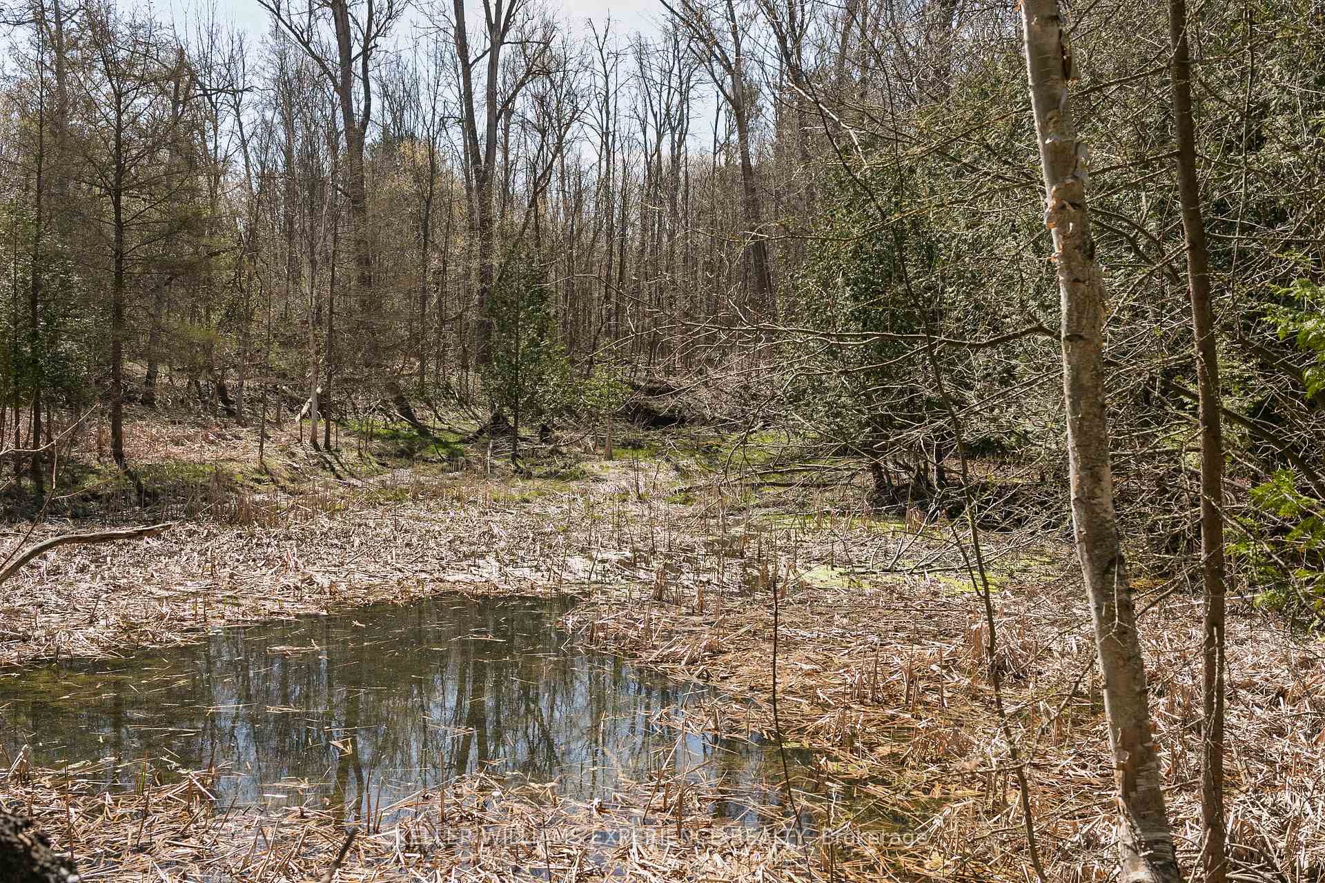 Photo 12 of 8294 County Rd 27, Essa, Rural Essa — HOMEH