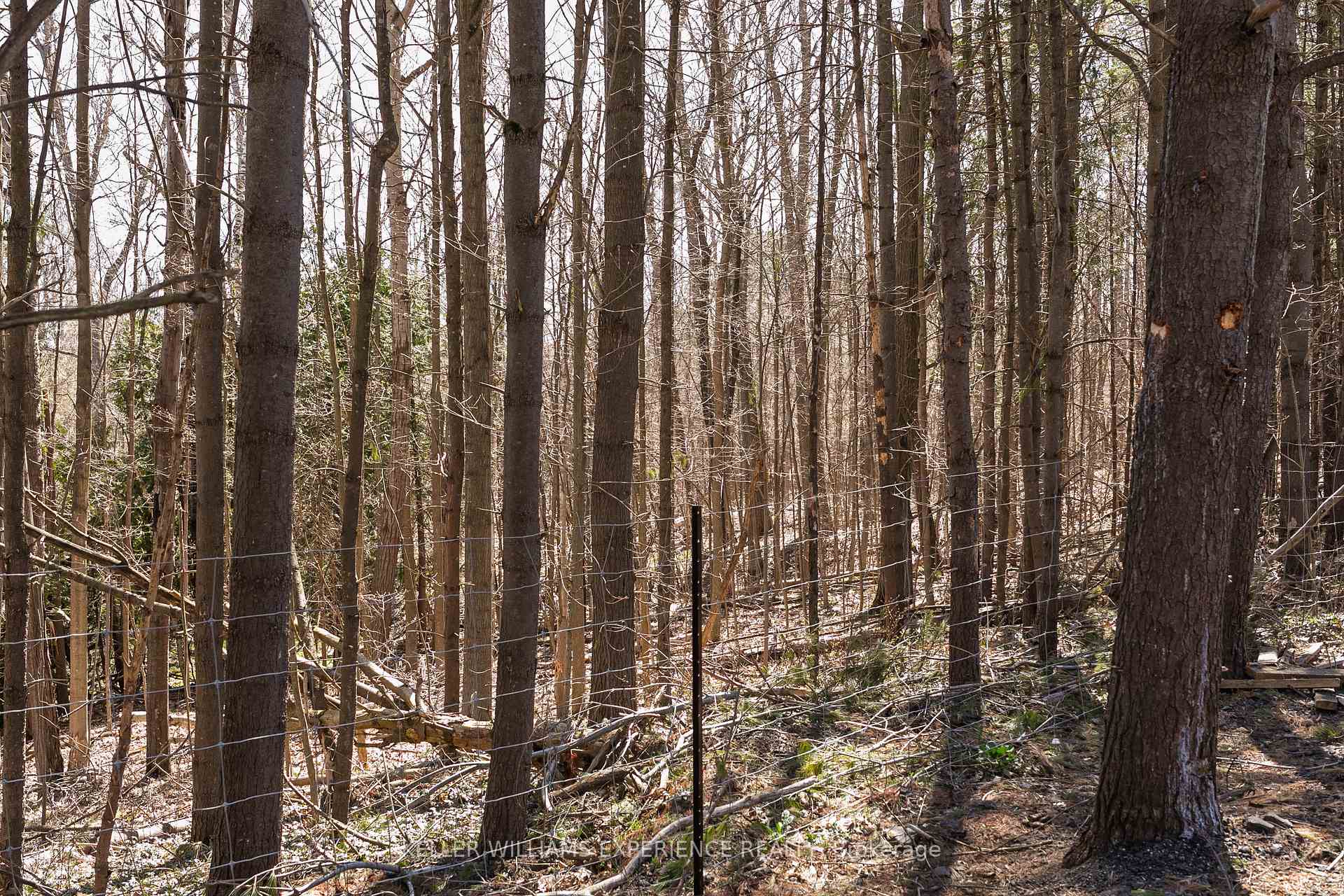 Photo 14 of 8294 County Rd 27, Essa, Rural Essa — HOMEH
