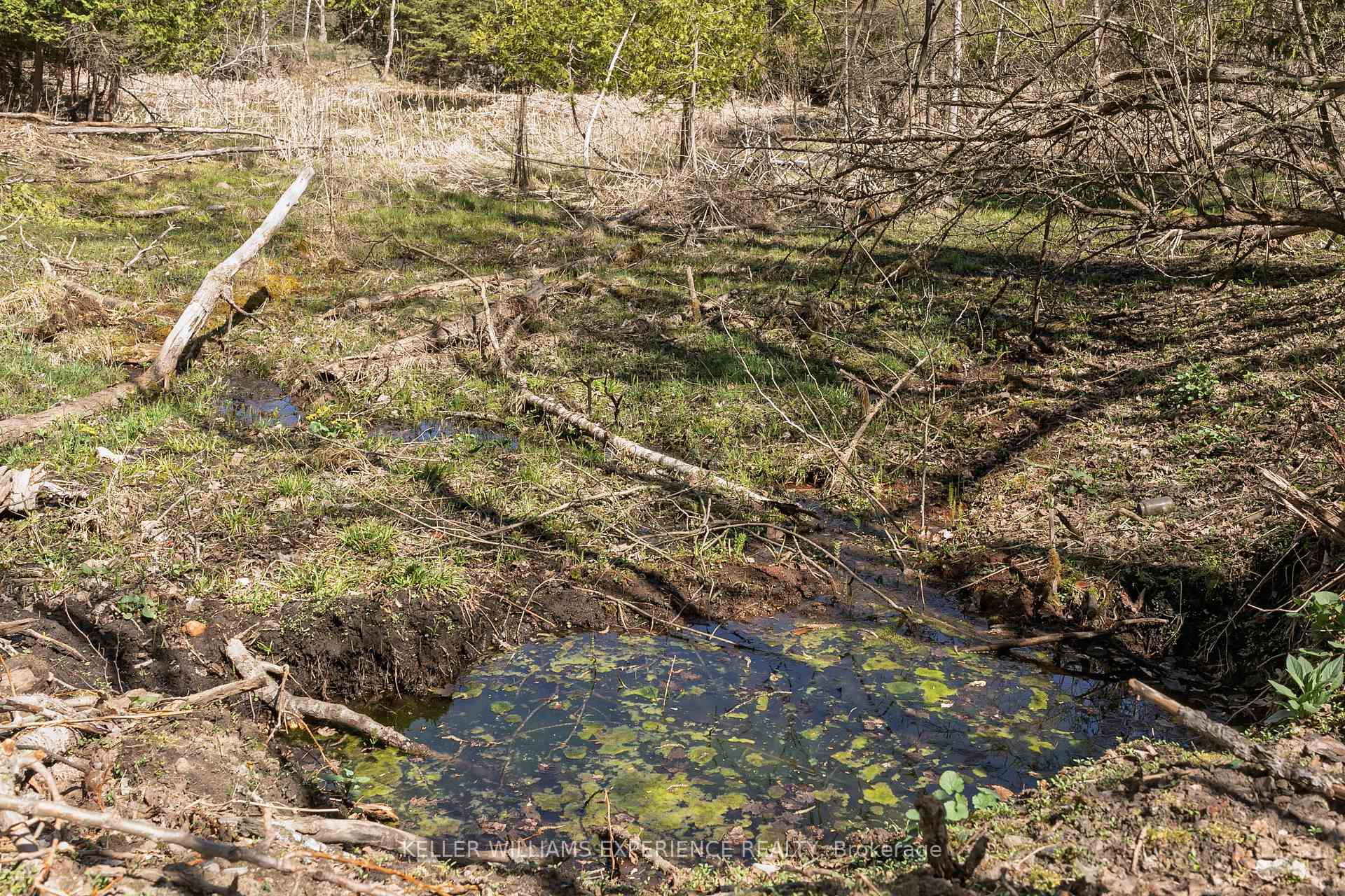 Photo 18 of 8294 County Rd 27, Essa, Rural Essa — HOMEH