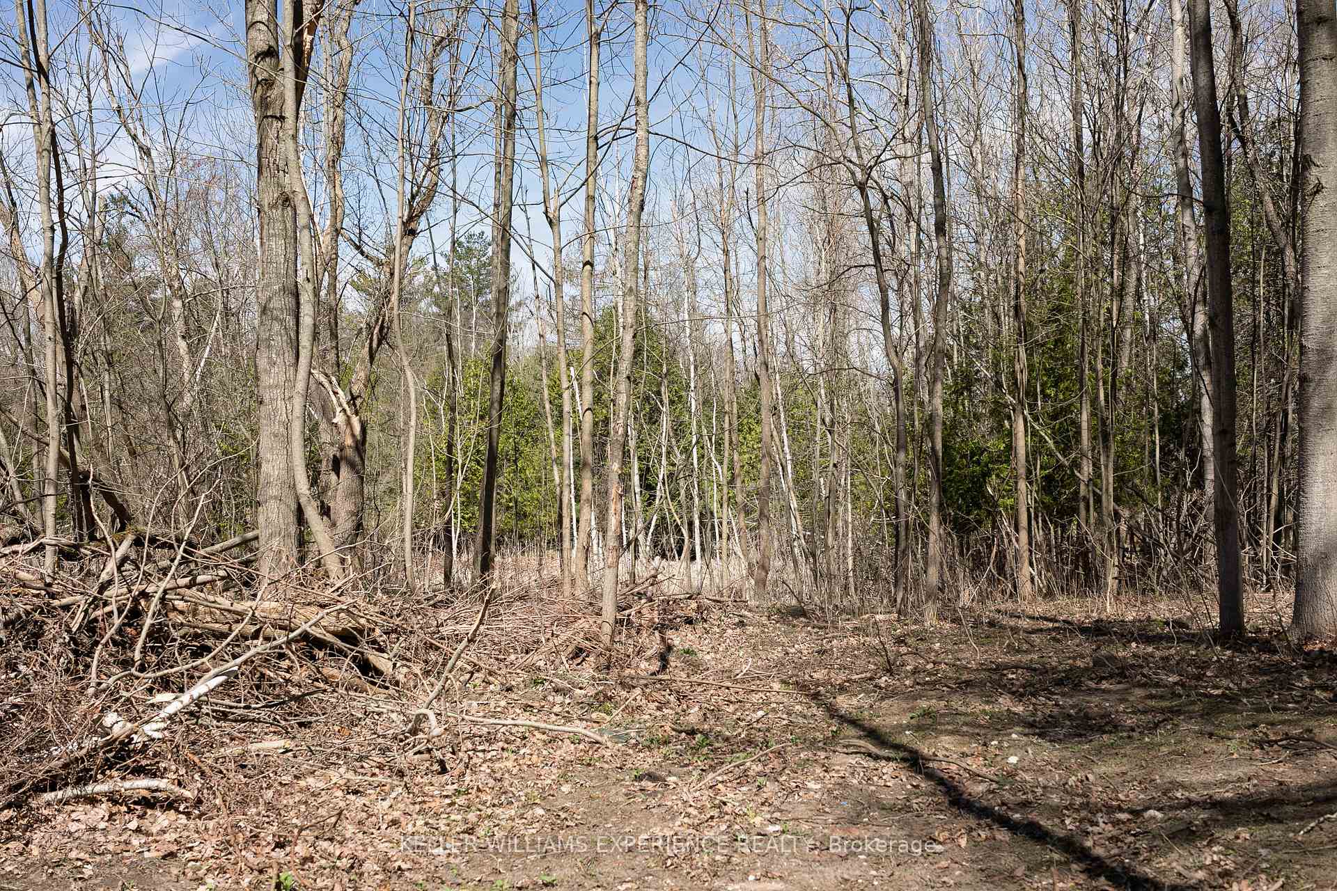 Photo 19 of 8294 County Rd 27, Essa, Rural Essa — HOMEH