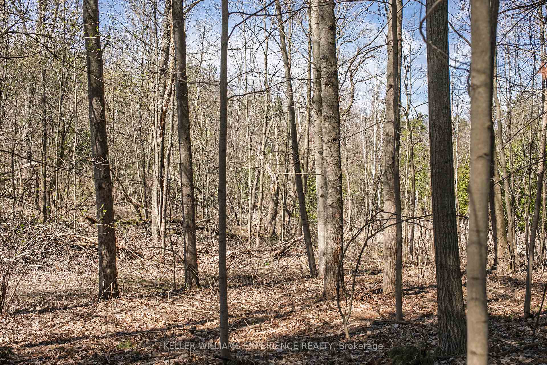 Photo 20 of 8294 County Rd 27, Essa, Rural Essa — HOMEH
