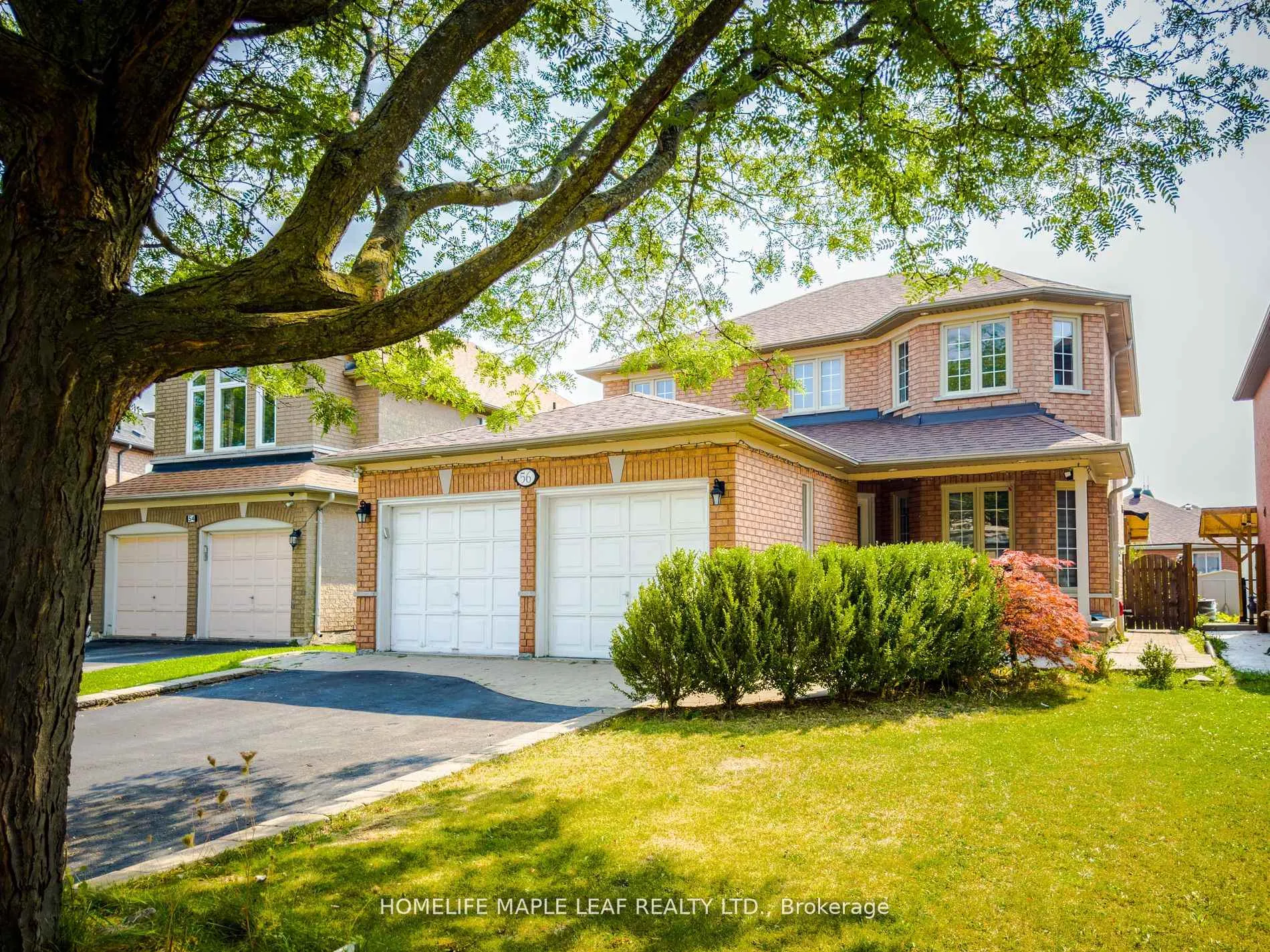 Front of 56 Mount McKinley Lane