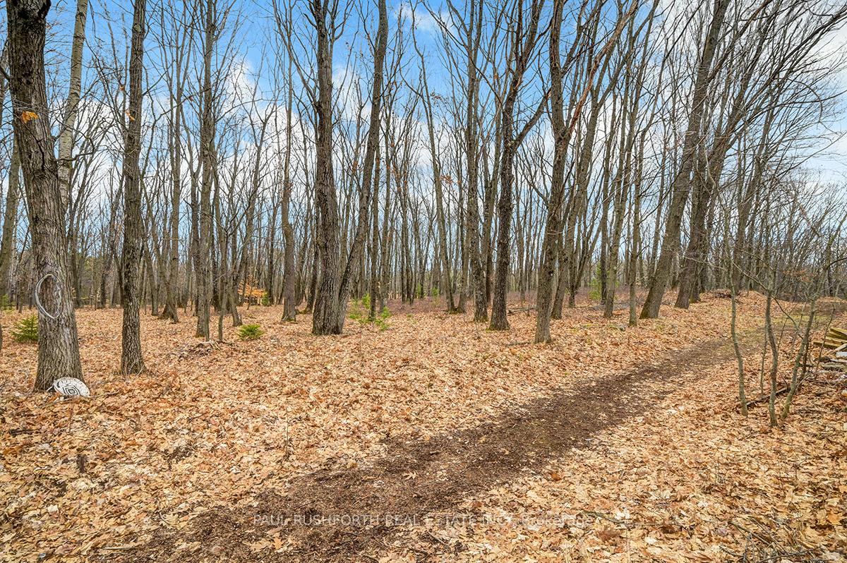 Photo 22 of 1137 Bayview Drive, Ottawa, Constance Bay — HOMEH