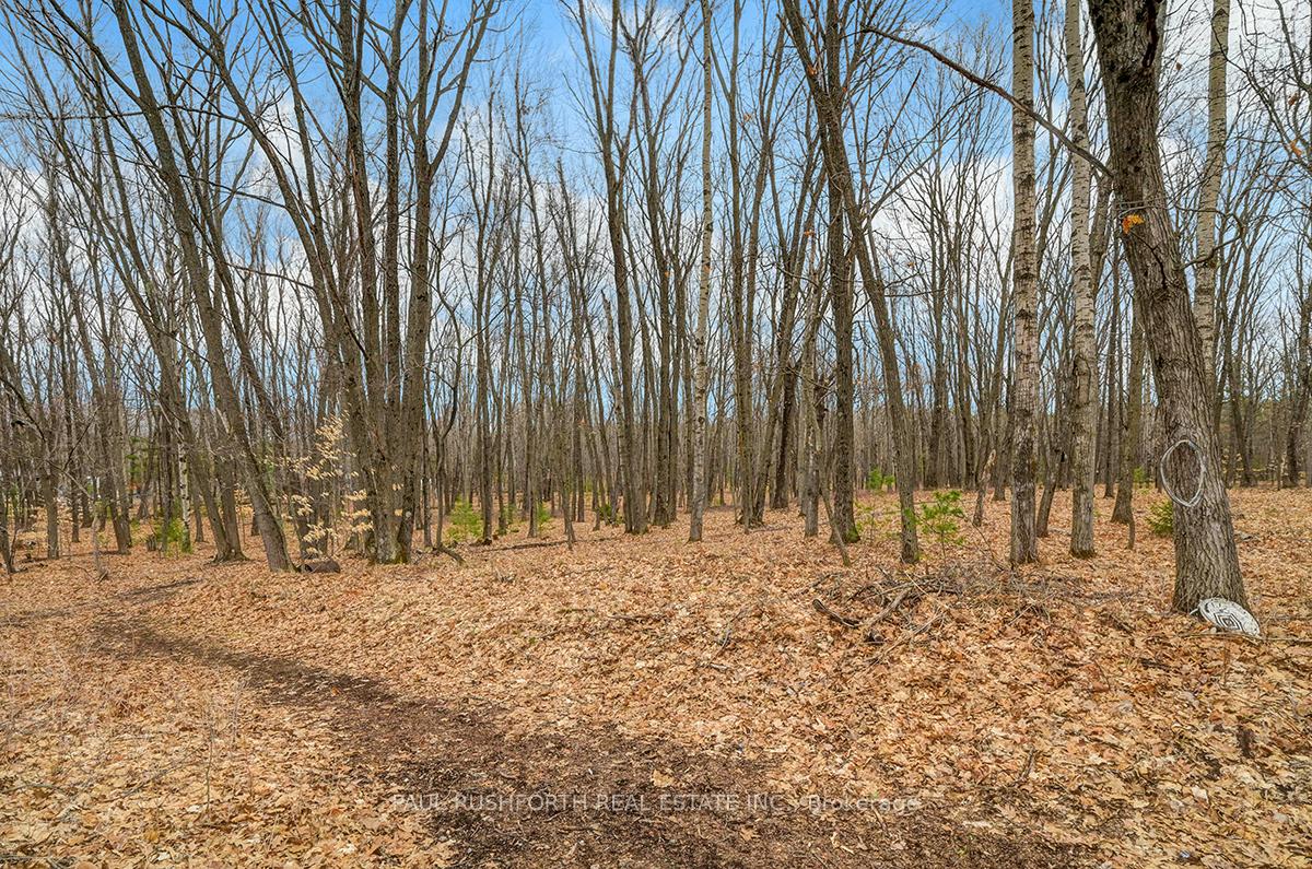 Photo 23 of 1137 Bayview Drive, Ottawa, Constance Bay — HOMEH