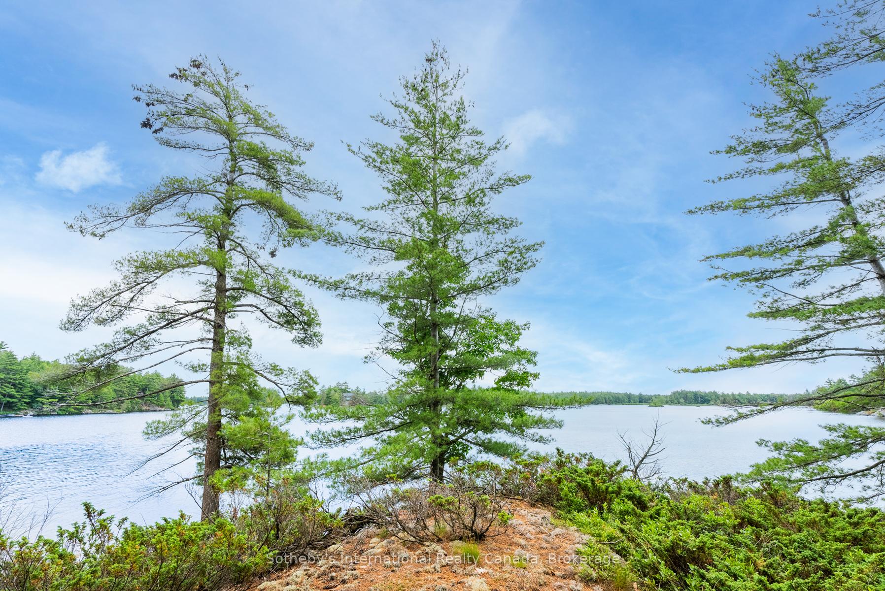 Photo 4 of 16LK-1 Wolf Island, Gravenhurst, Morrison — HOMEH
