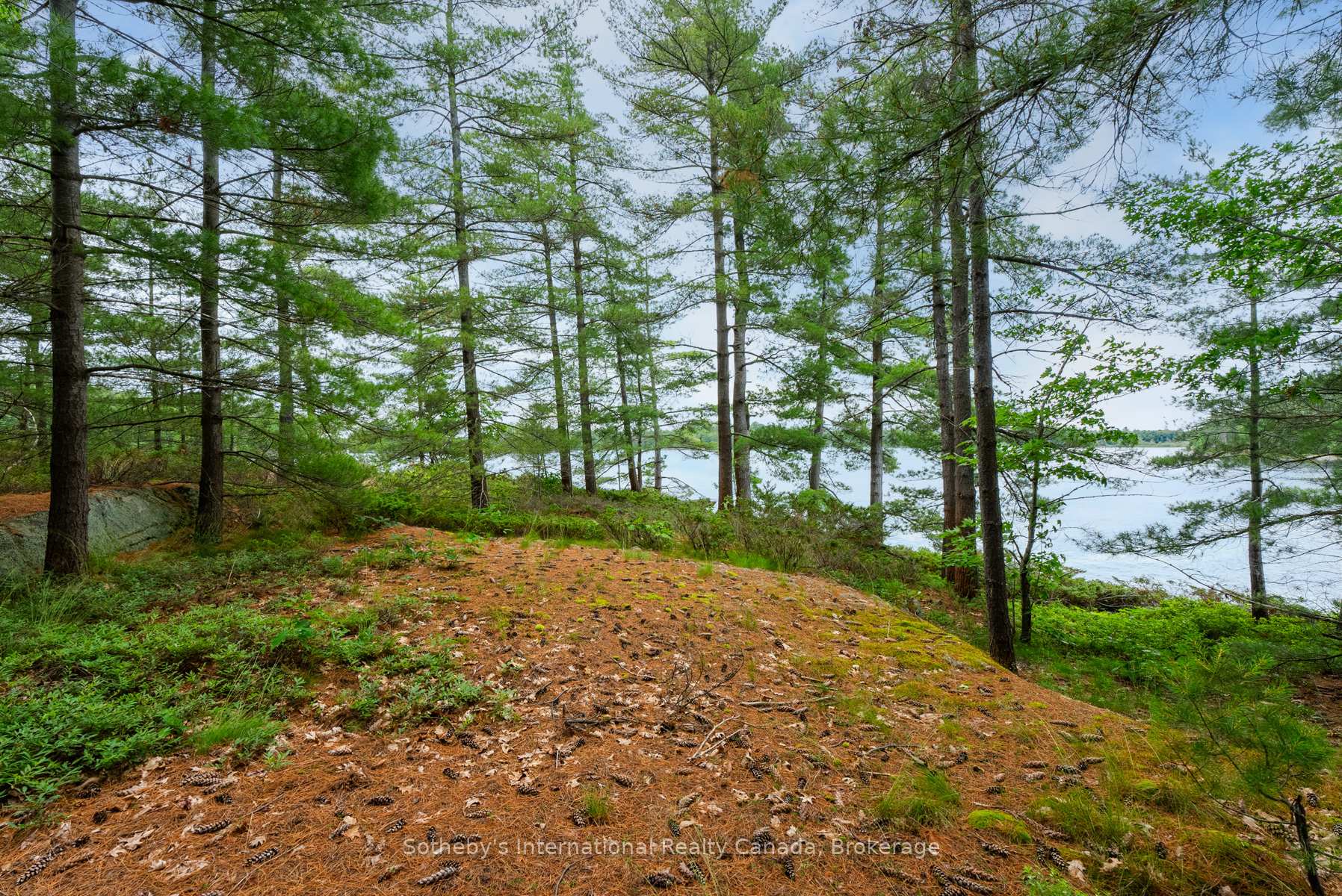 Photo 20 of 16LK-1 Wolf Island, Gravenhurst, Morrison — HOMEH