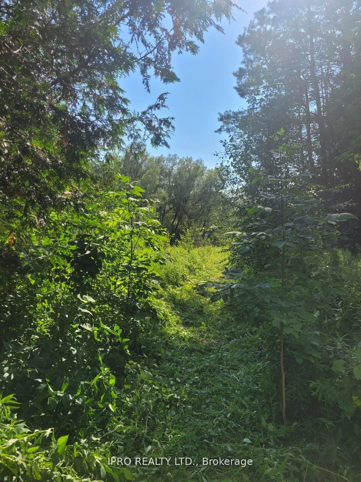 Photo 4 of 3350 Middle Road, Clarington, Bowmanville — HOMEH