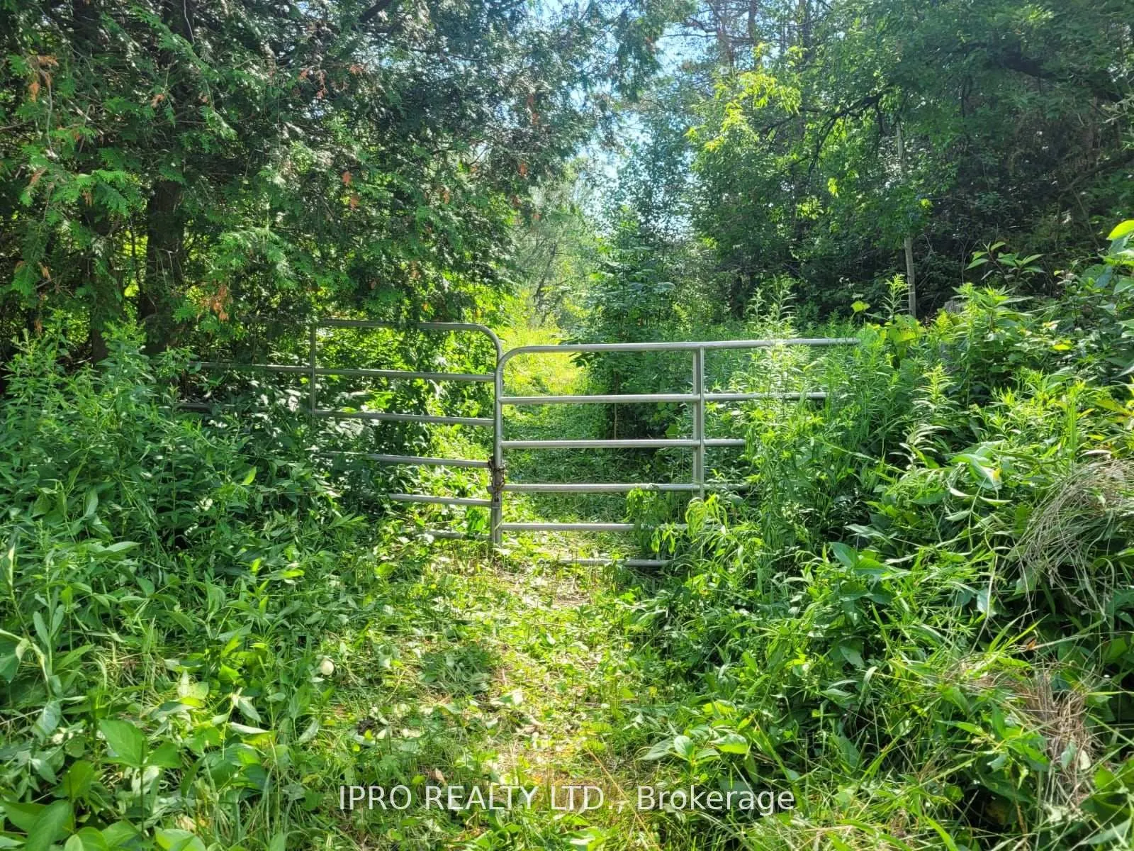 Photo 5 of 3350 Middle Road, Clarington, Bowmanville — HOMEH