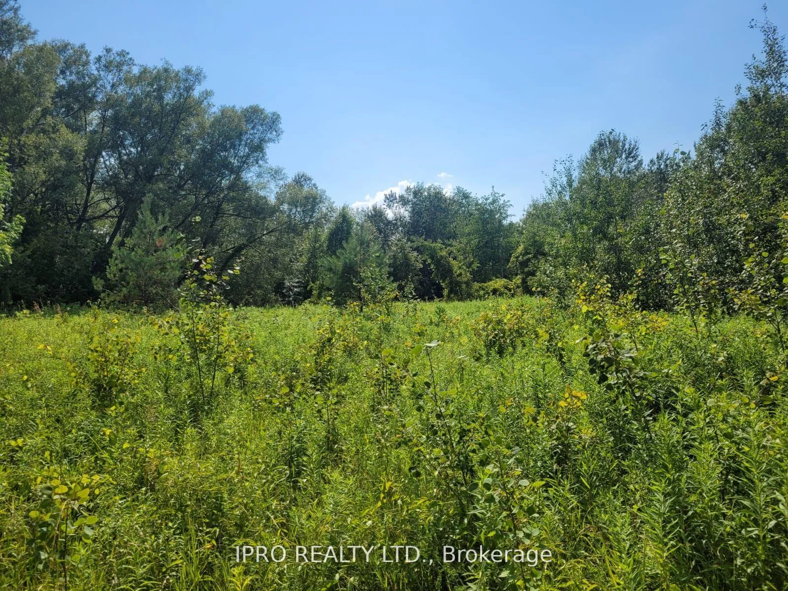 Photo 6 of 3350 Middle Road, Clarington, Bowmanville — HOMEH