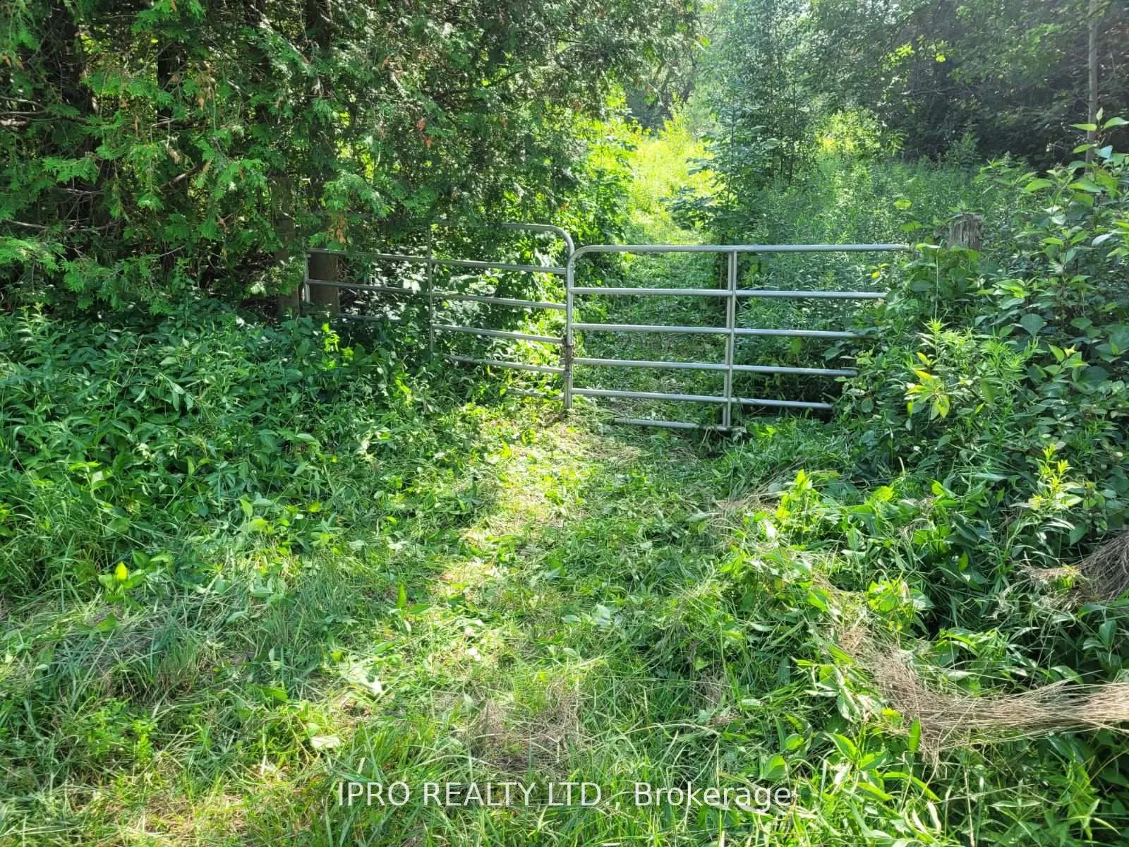 Photo 9 of 3350 Middle Road, Clarington, Bowmanville — HOMEH
