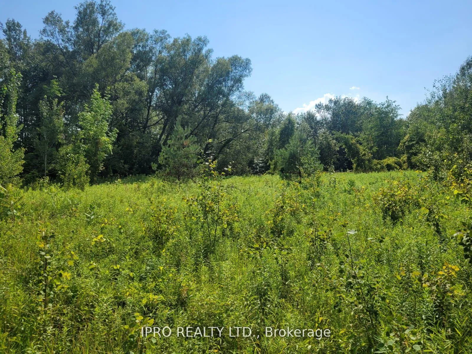 Photo 10 of 3350 Middle Road, Clarington, Bowmanville — HOMEH