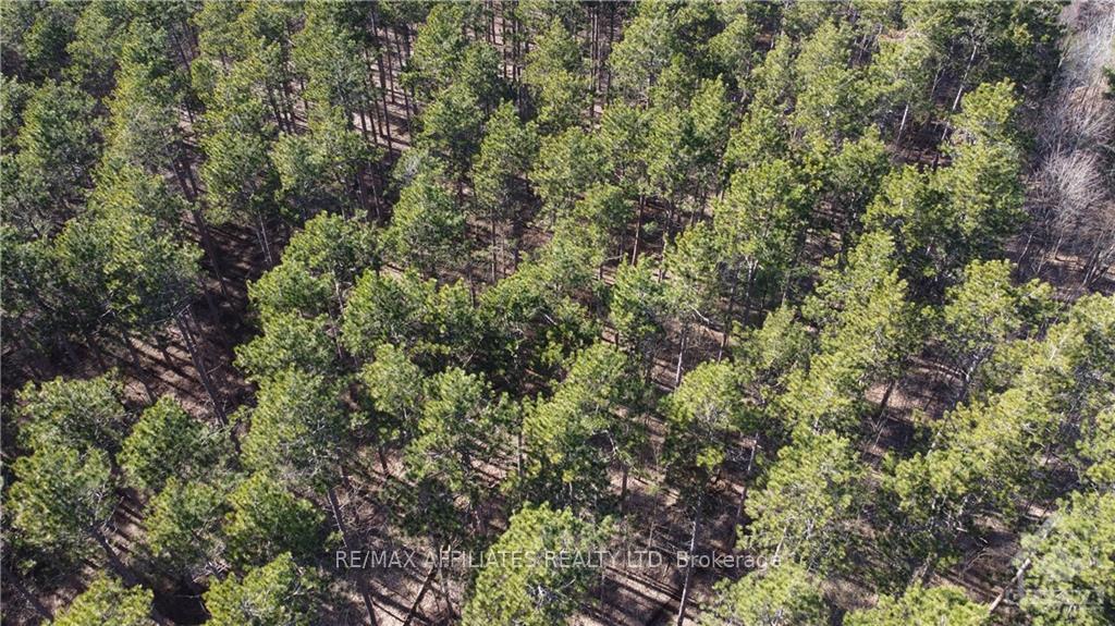 Photo 3 of Lot 6 Concession 8 Road, Edwardsburgh/Cardinal, Edwardsburgh/Cardinal Twp — HOMEH