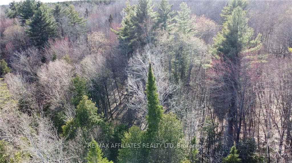 Photo 4 of Lot 6 Concession 8 Road, Edwardsburgh/Cardinal, Edwardsburgh/Cardinal Twp — HOMEH